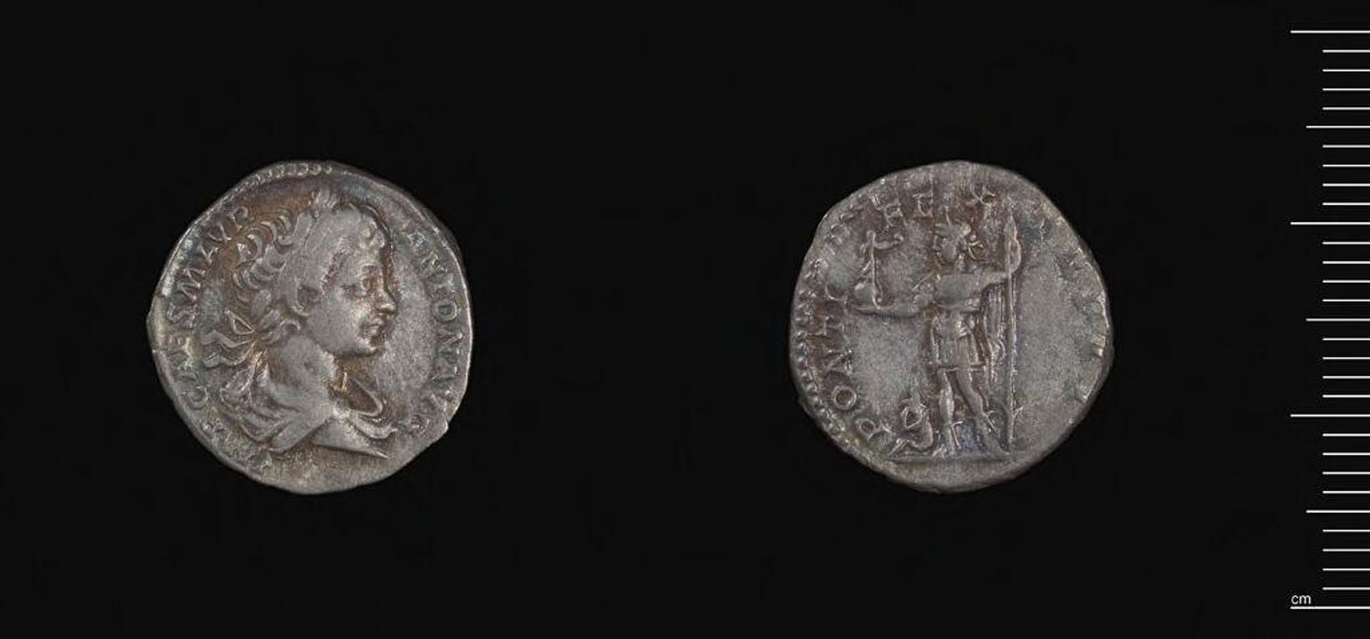 Denarius of Septimius Severus by Septimius Severus
