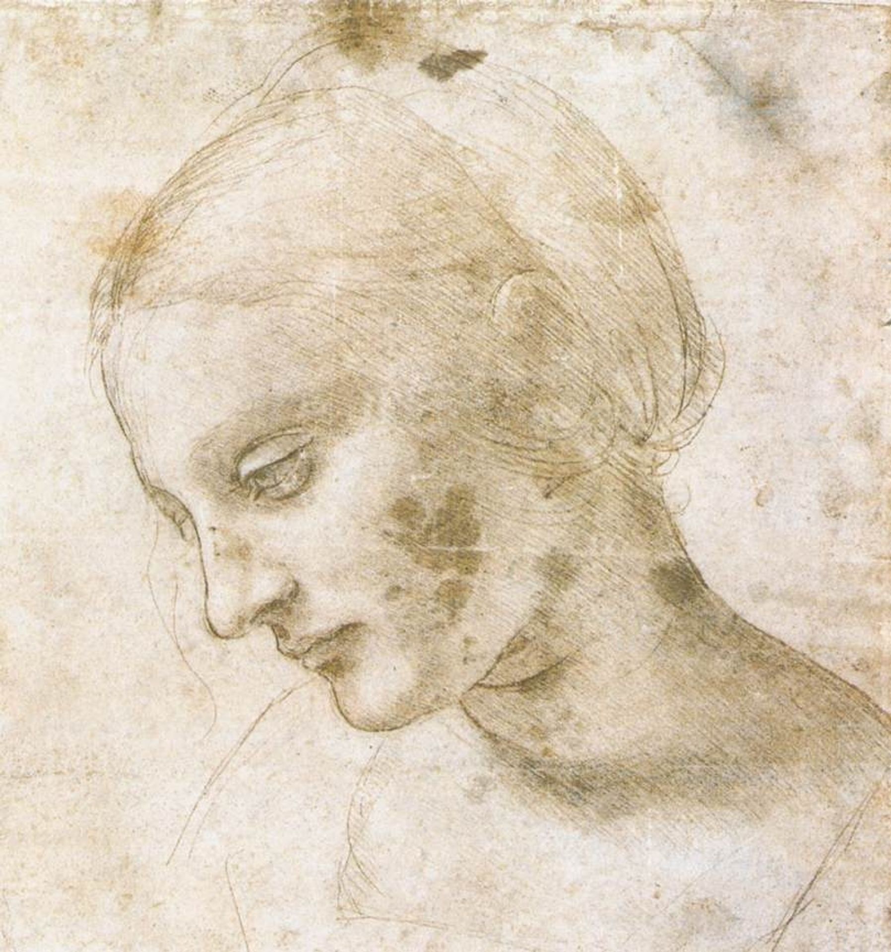 Study of a woman's head by Leonardo da Vinci