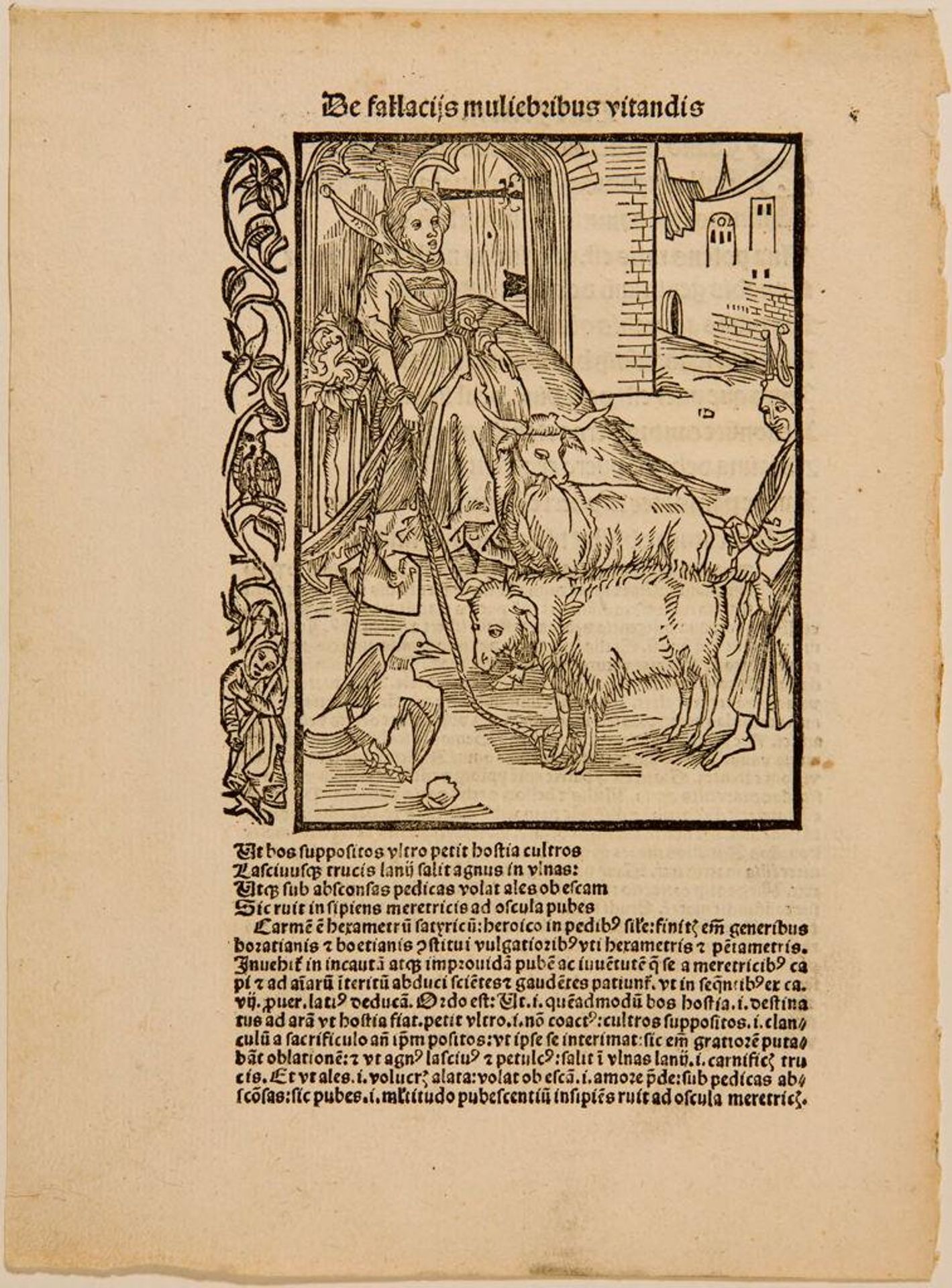 Illustration from Brant, Navis Stultifera by Anonymous