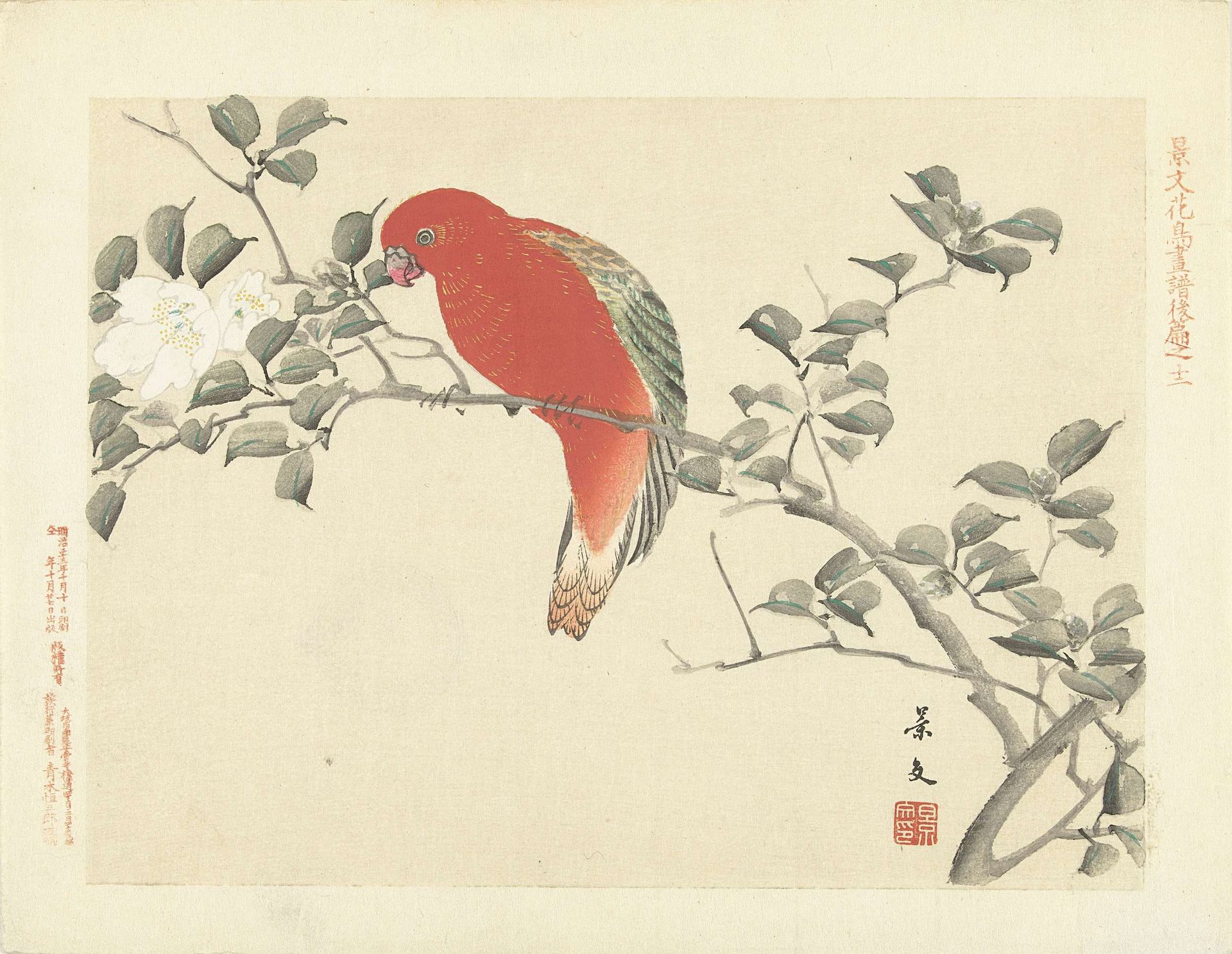 Rode papegaai op tak met witte bloemen by Matsumura Keibun