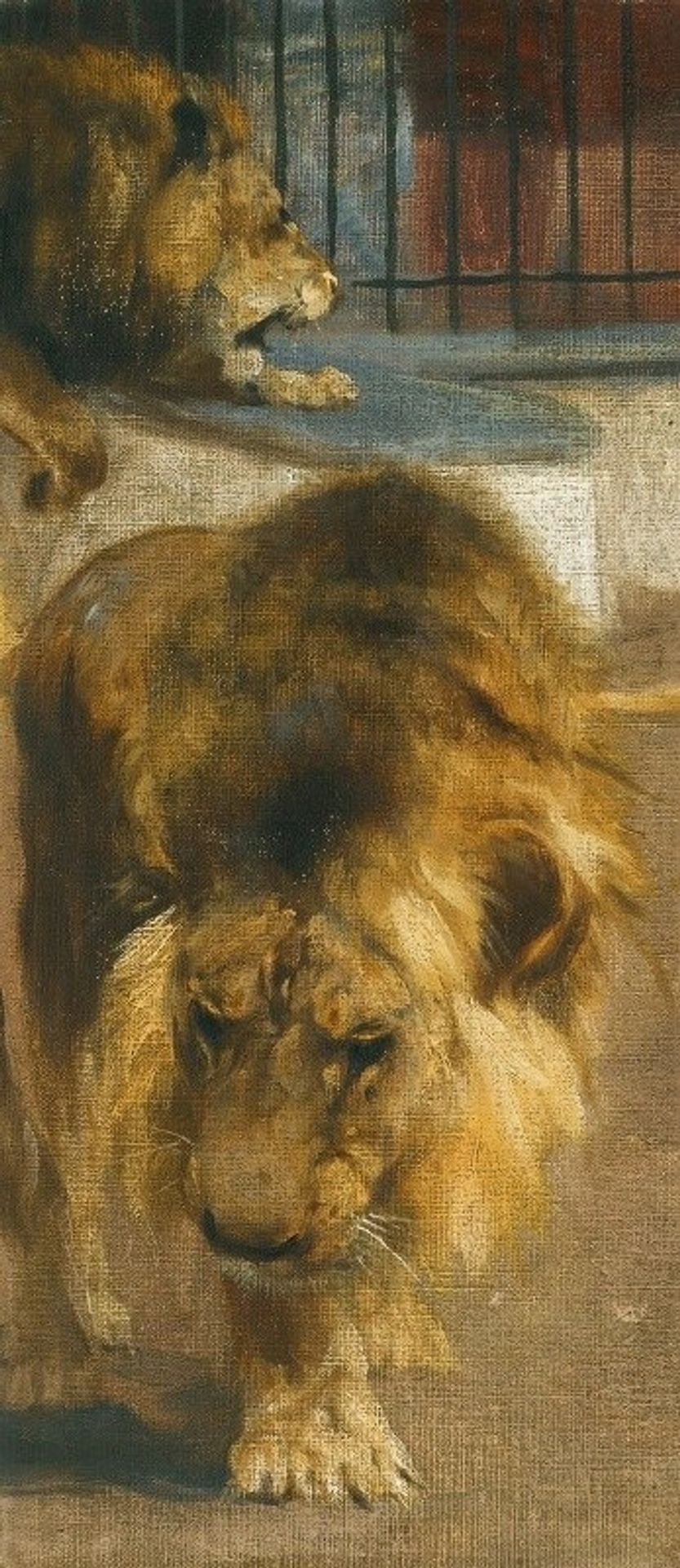Lions by Wilhelm Kuhnert