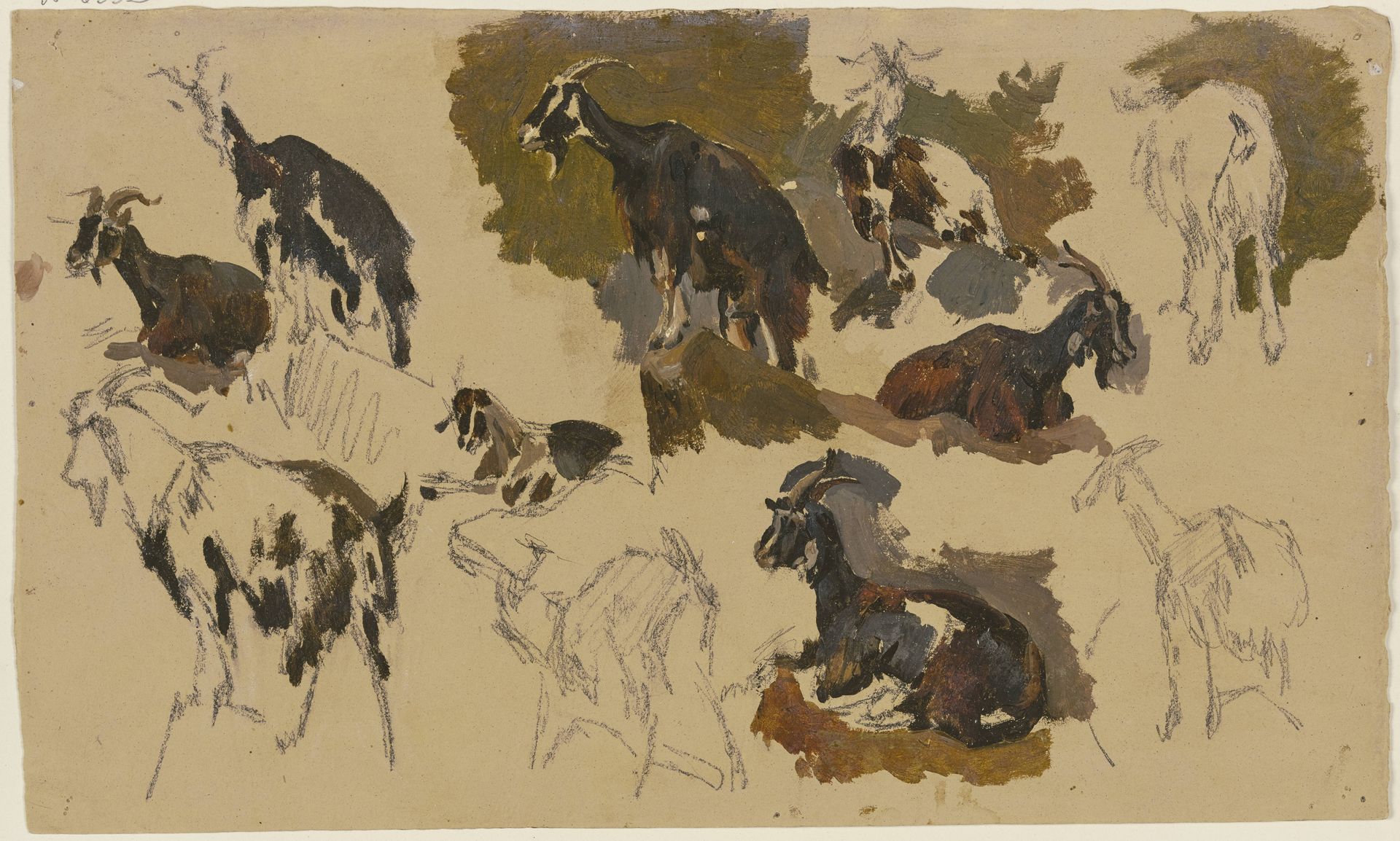 Eleven goats by Johann Nepomuk Rauch