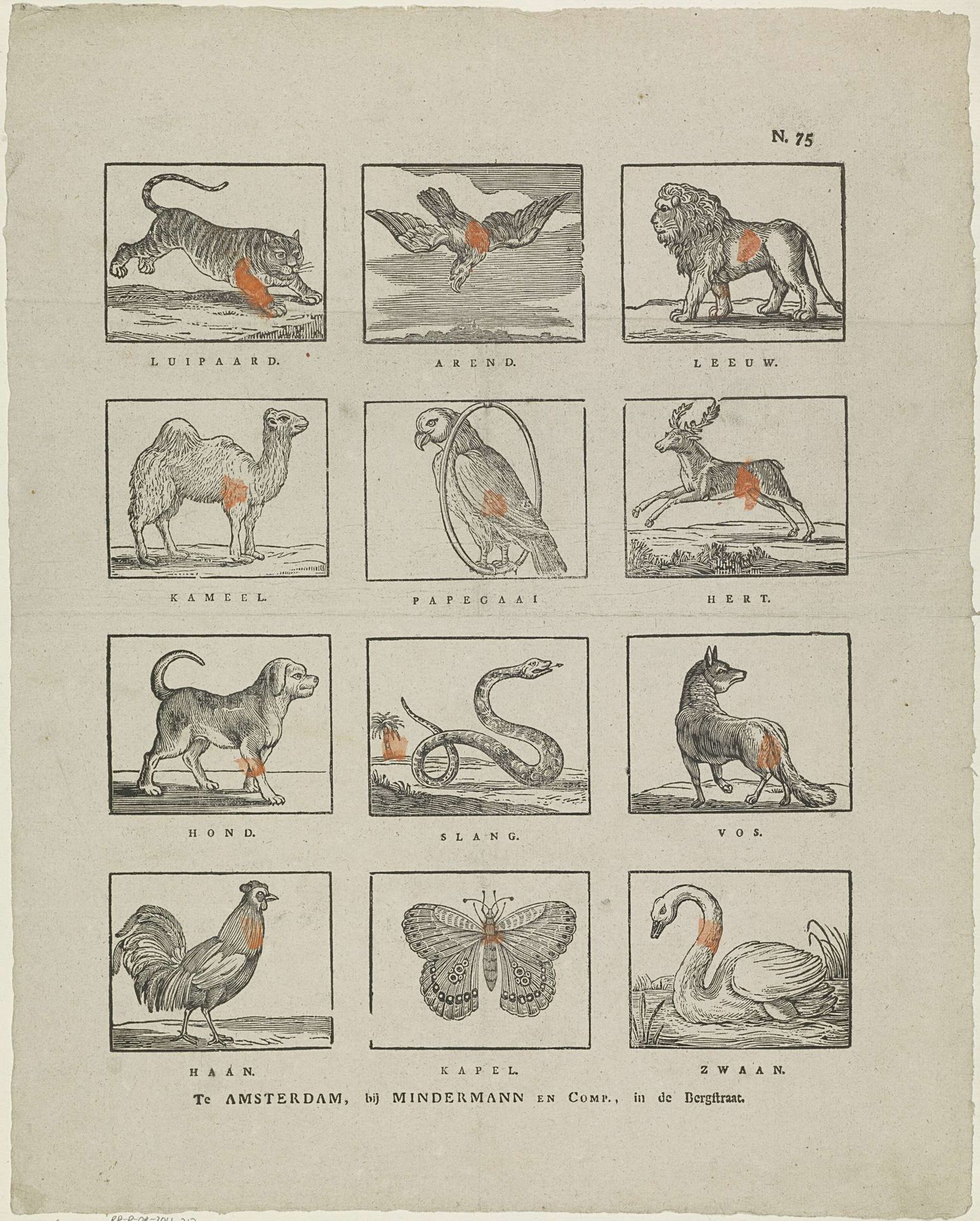 Dieren by Mindermann & Co.