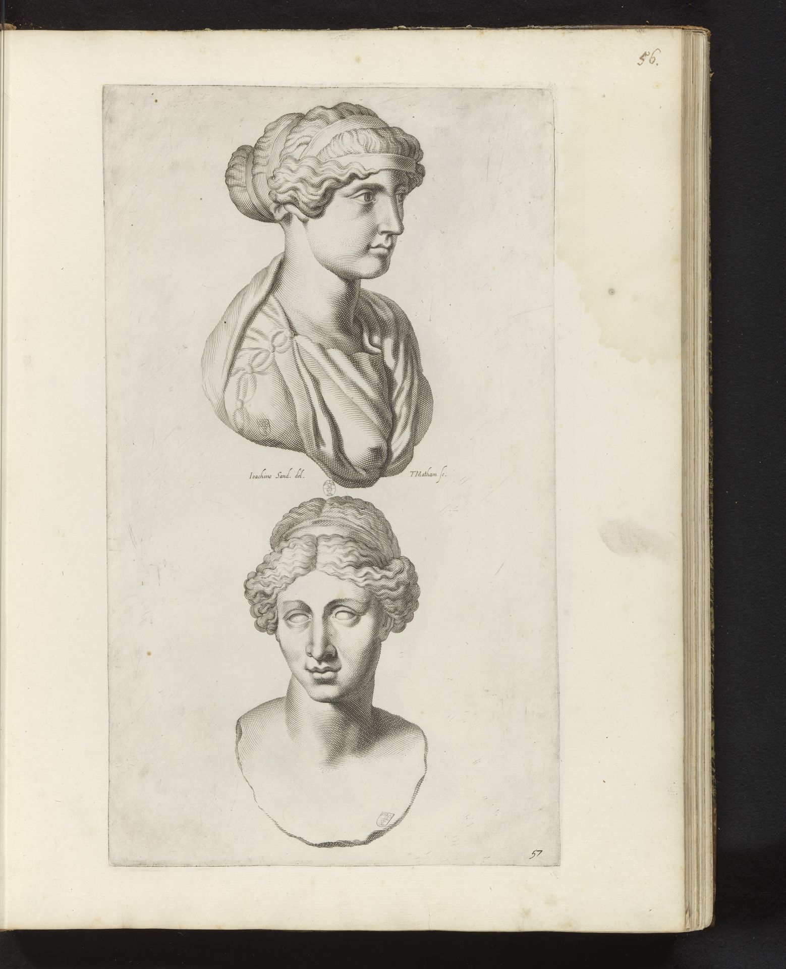 Twee portretbustes van Romeinse vrouwen by Theodor Matham