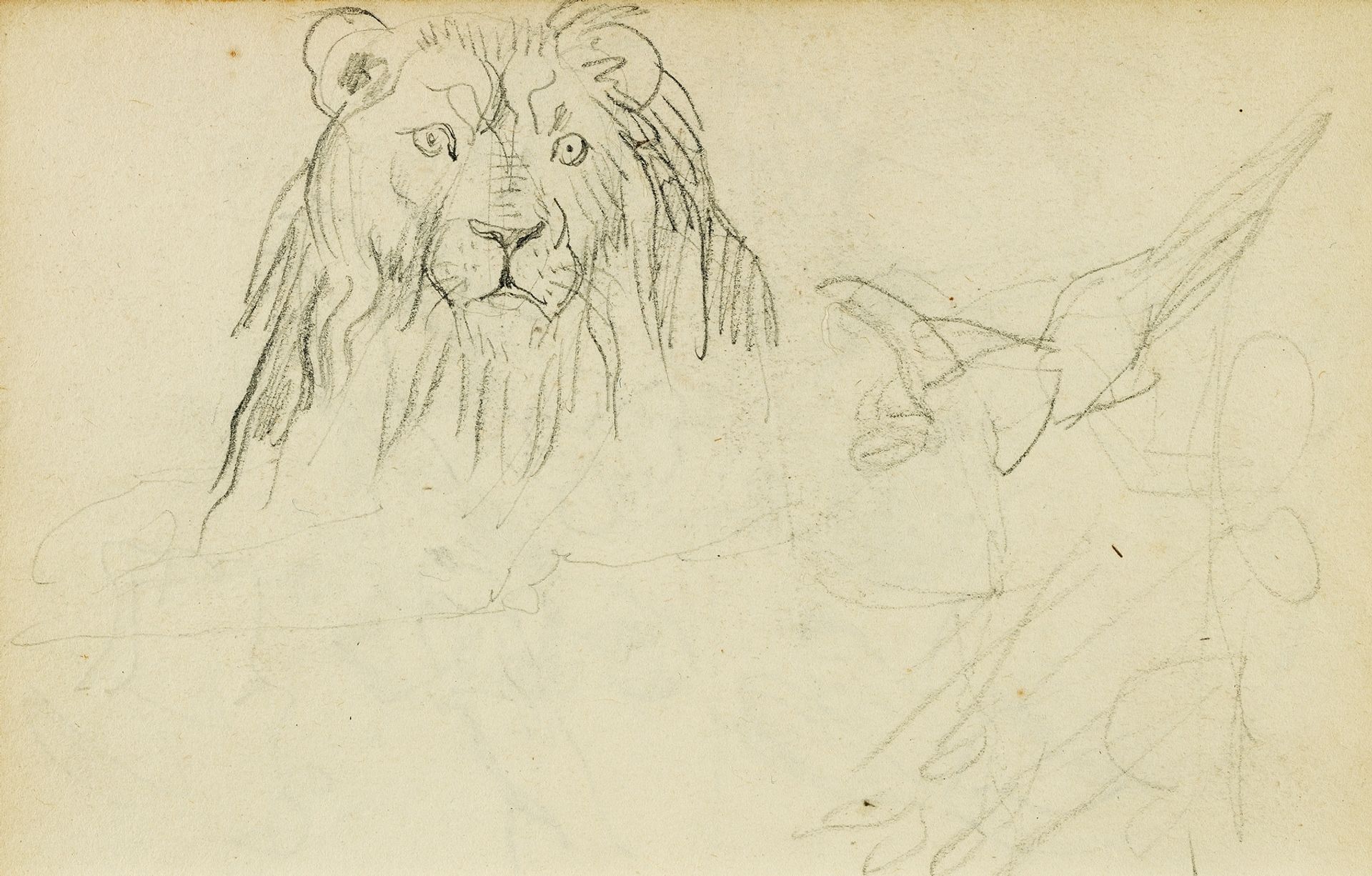 Head on view of seated lion by Théodore Géricault
