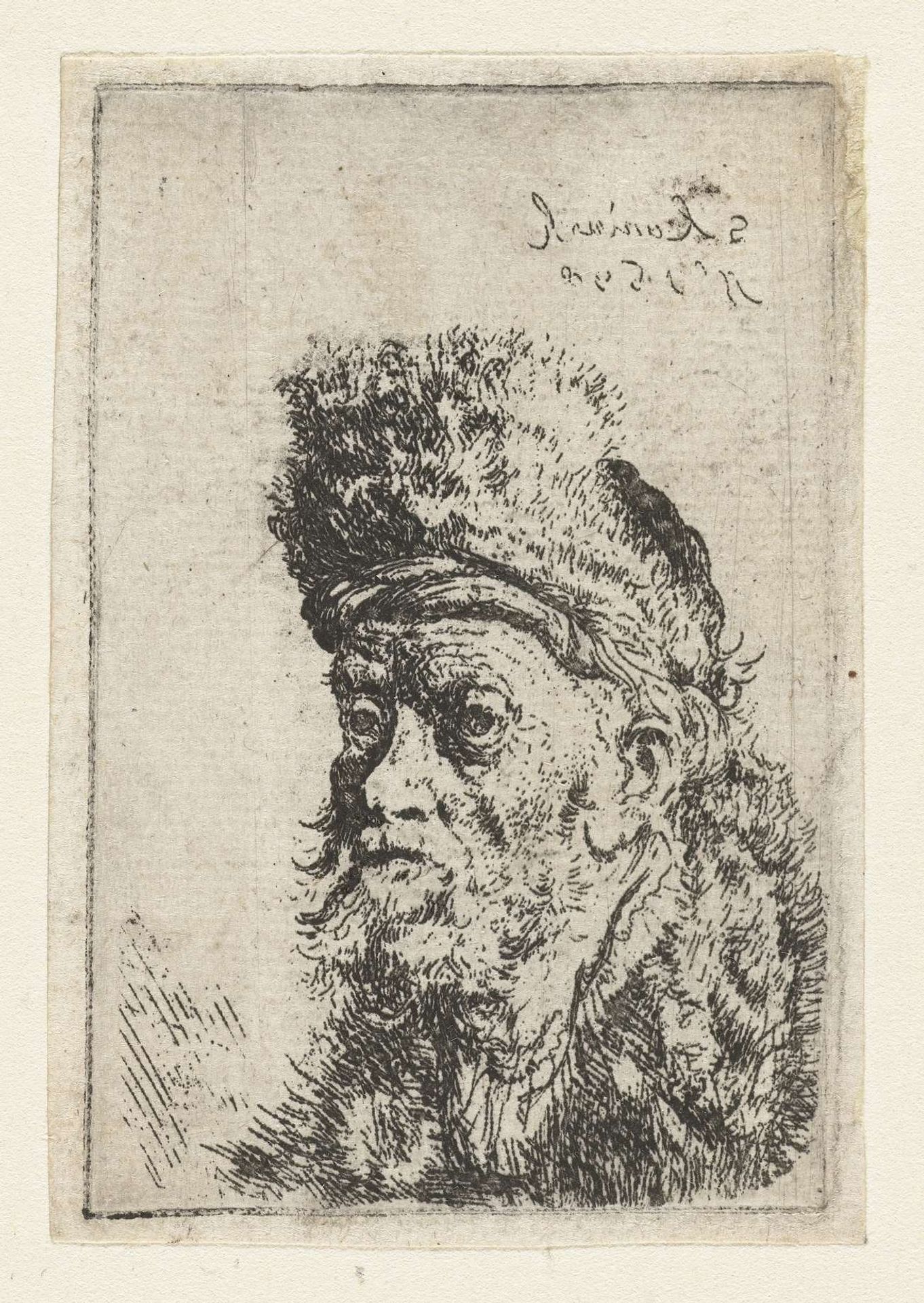 Buste van een man met bontmuts by Salomon Koninck