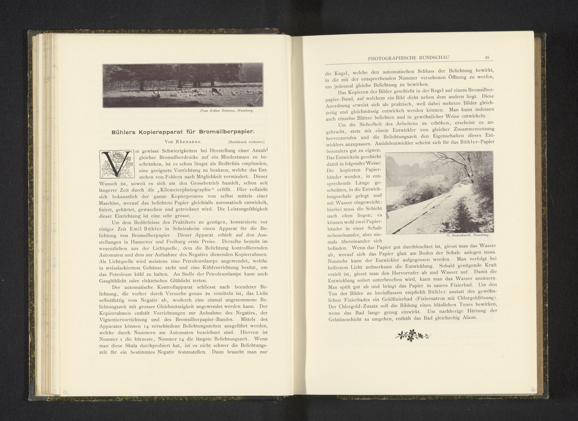 Besneeuwde bosweg by O. Bozenhardt