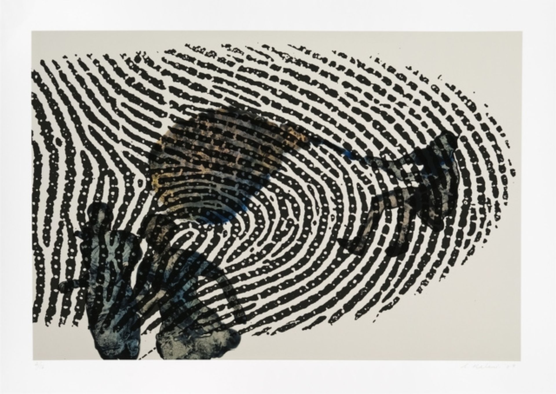 Limits of Identity by Nalini Malani