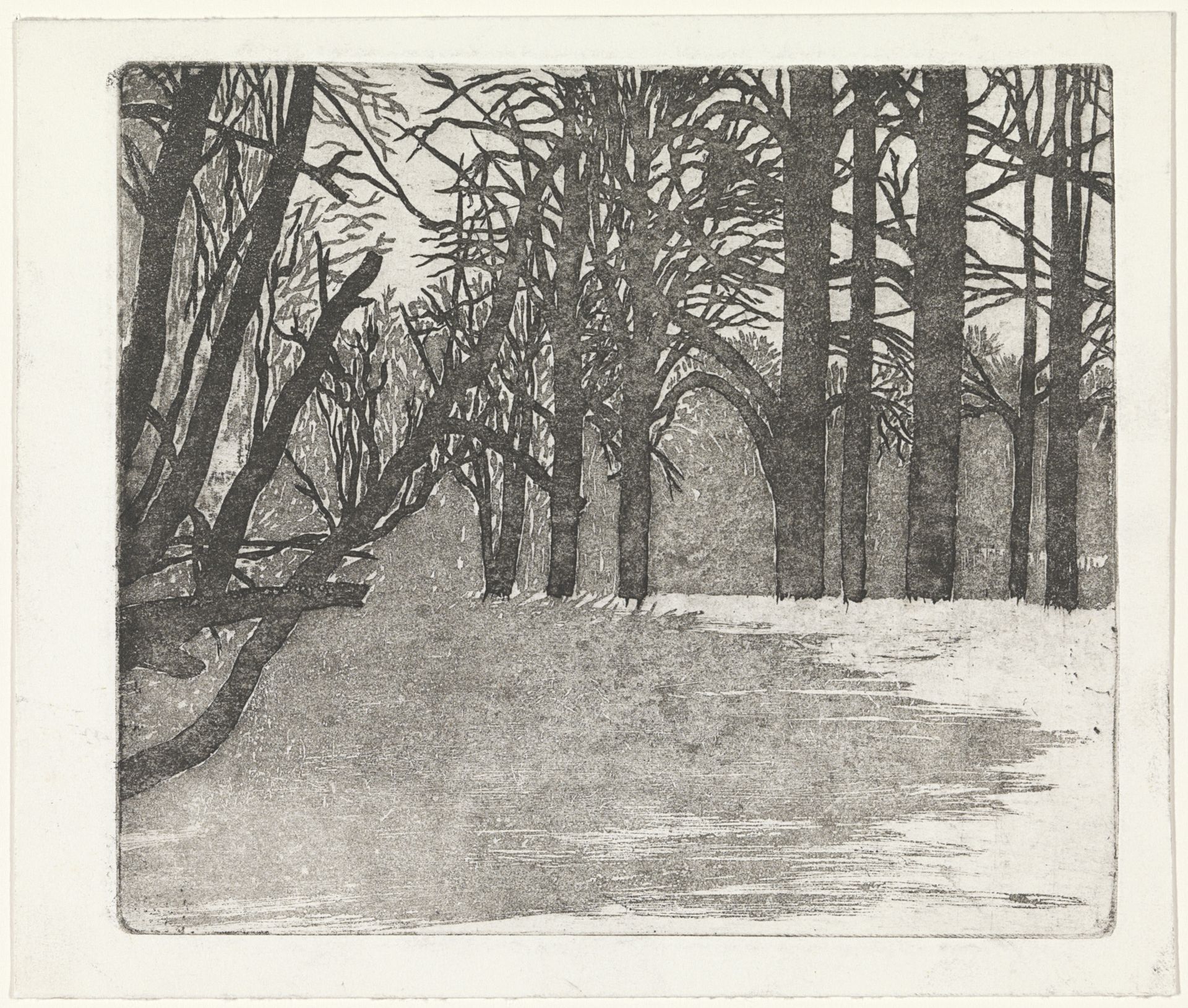Lommerijk bos by Kees Stoop