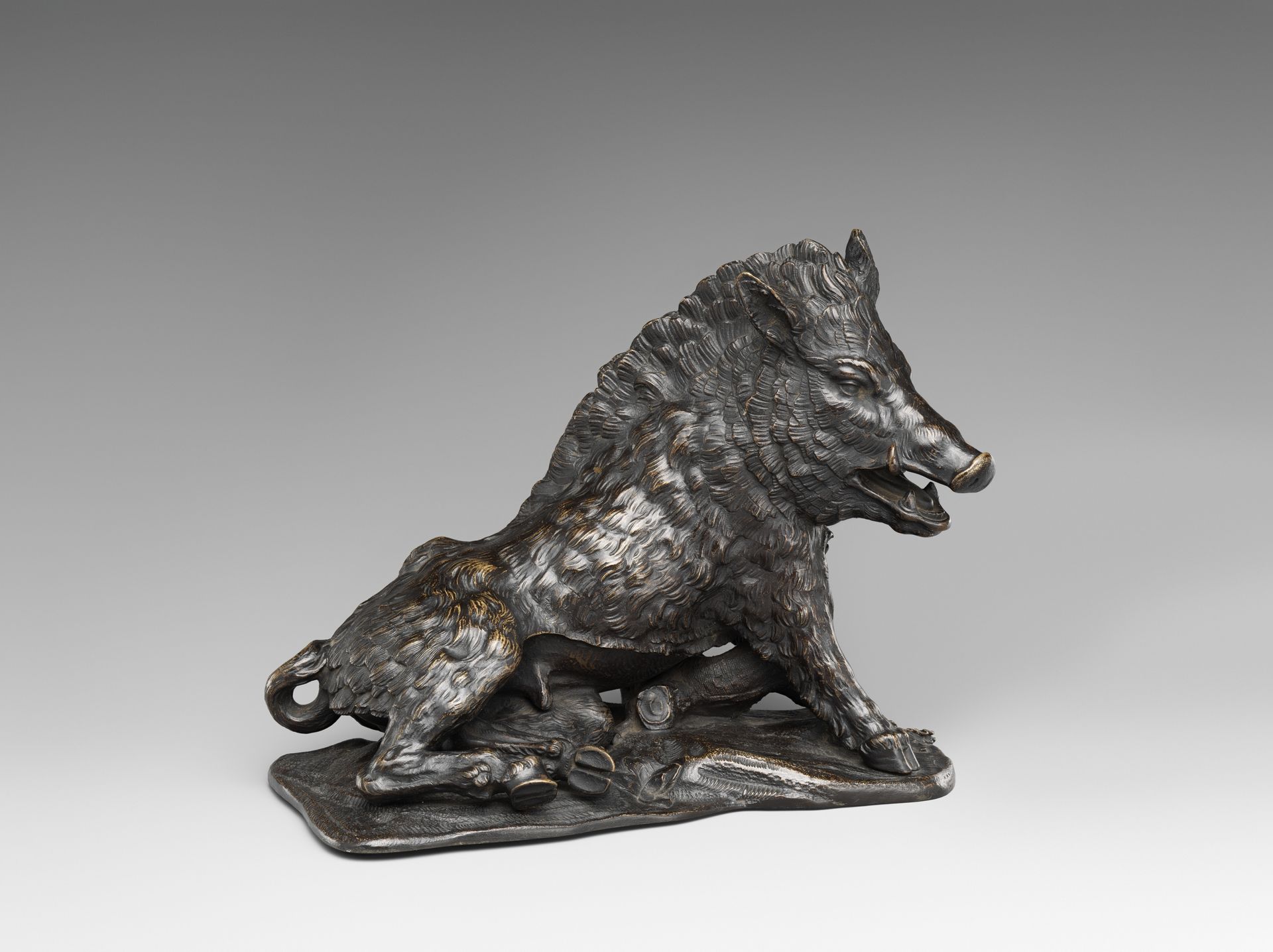 Wild Boar by Giovanni Francesco Susini