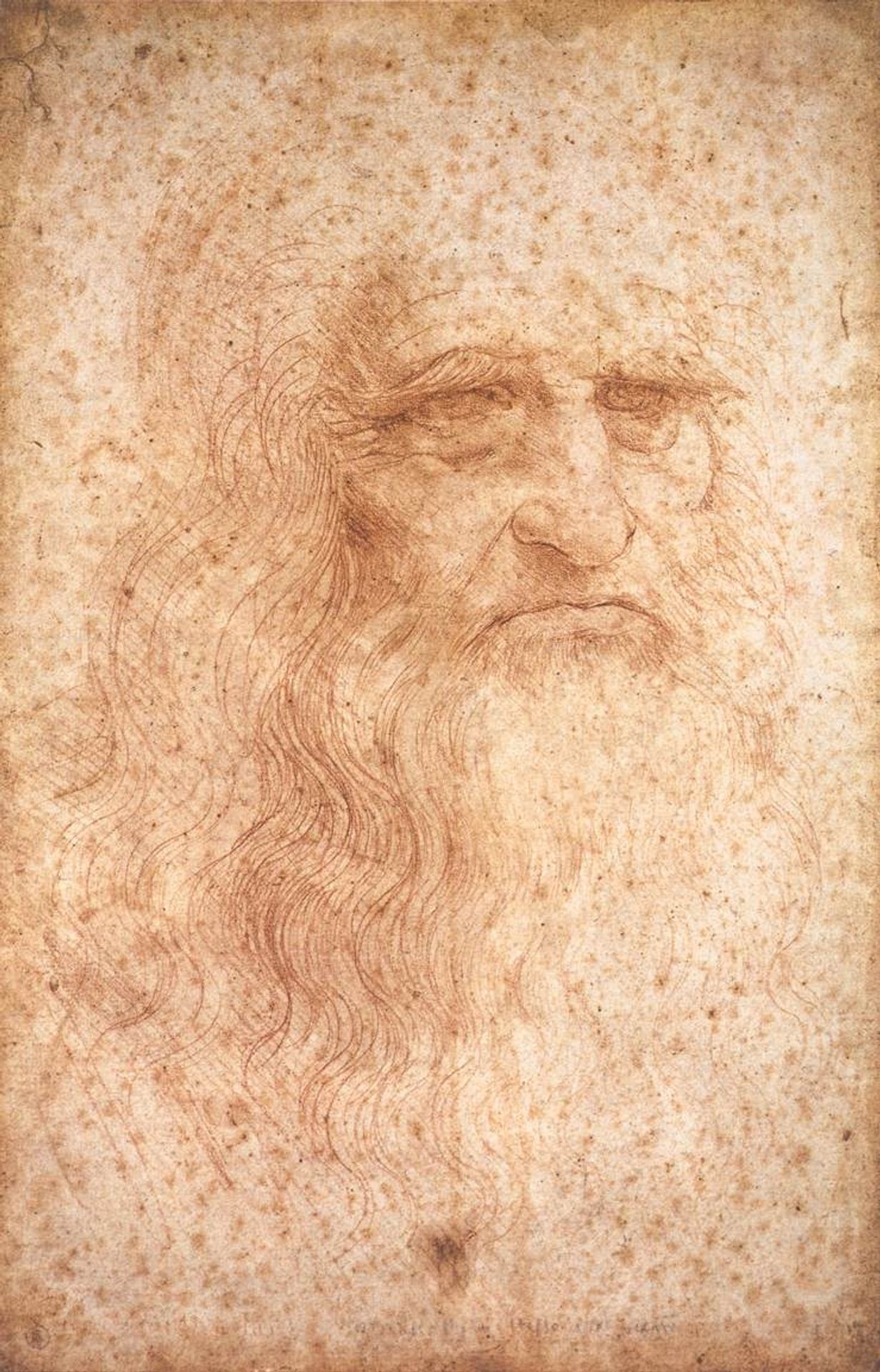 Portrait of a Bearded Man, possibly a Self Portrait by Leonardo da Vinci