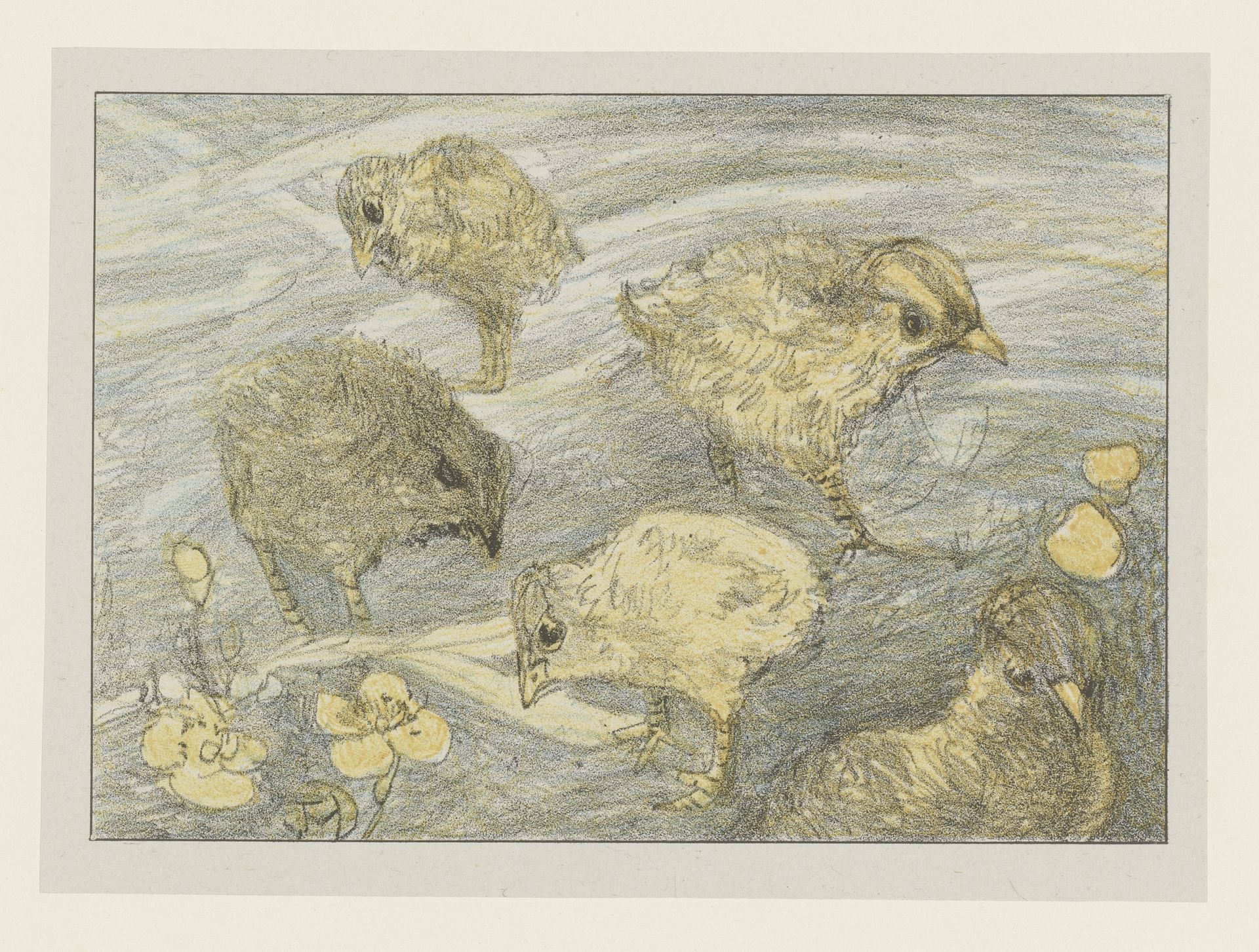 Vijf kuikens by Theo van Hoytema