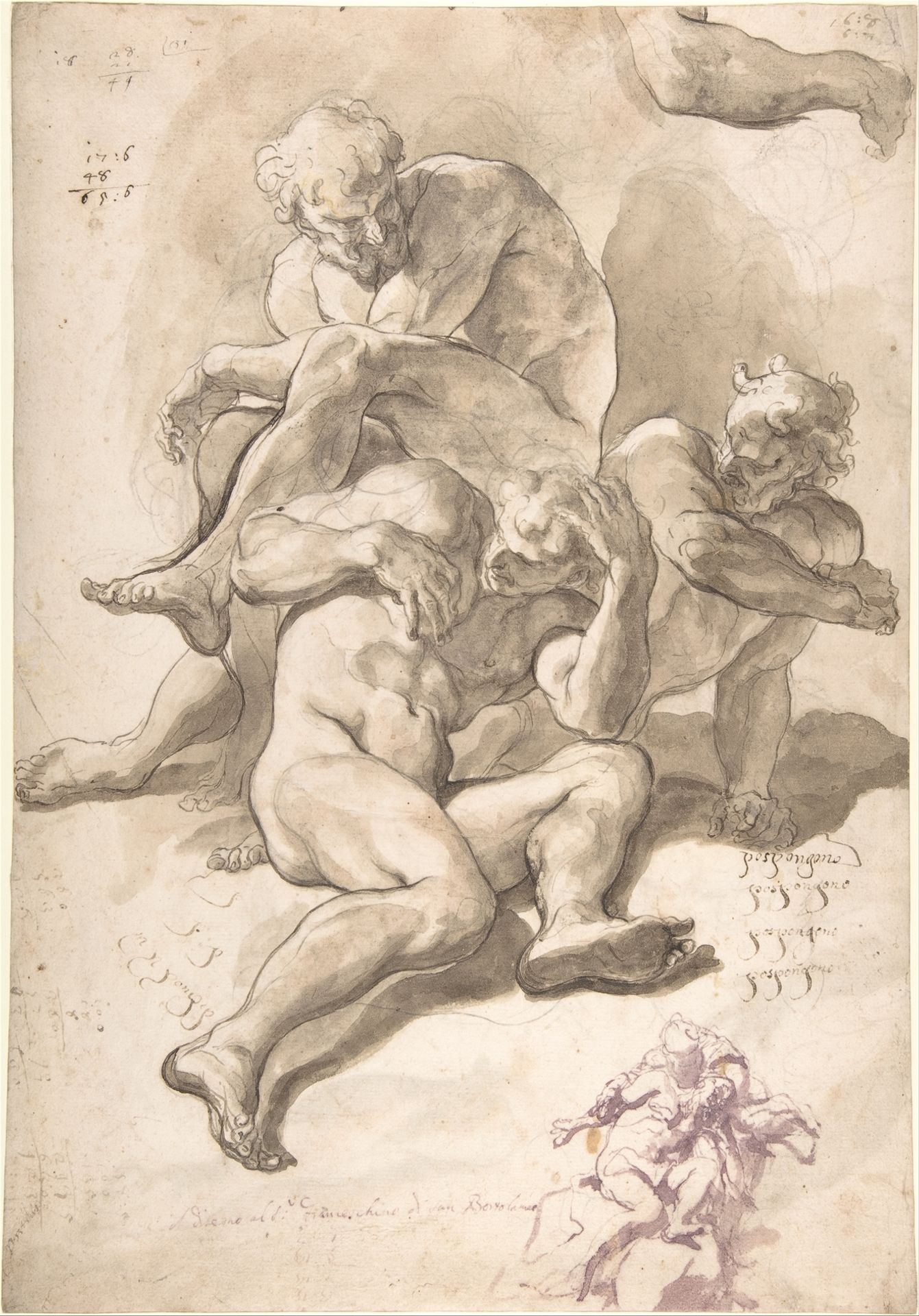 Studies of Three Naked Men, a Right Arm and a Nude Figure Supported by Another (recto); Studies of a Figure with Left Arm Upraised, a Leg, and Putti with Foliage (verso) by Paolo Pagani