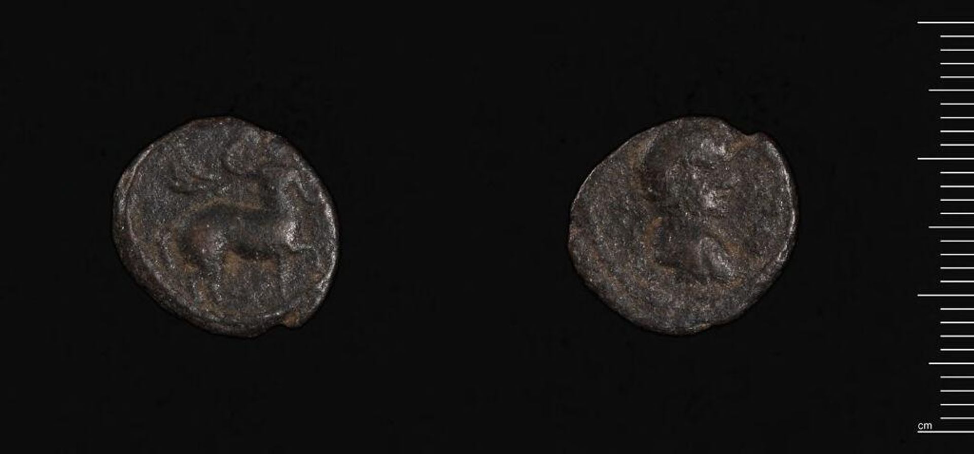 Coin of Resaina under Severus Alexander by Severus Alexander