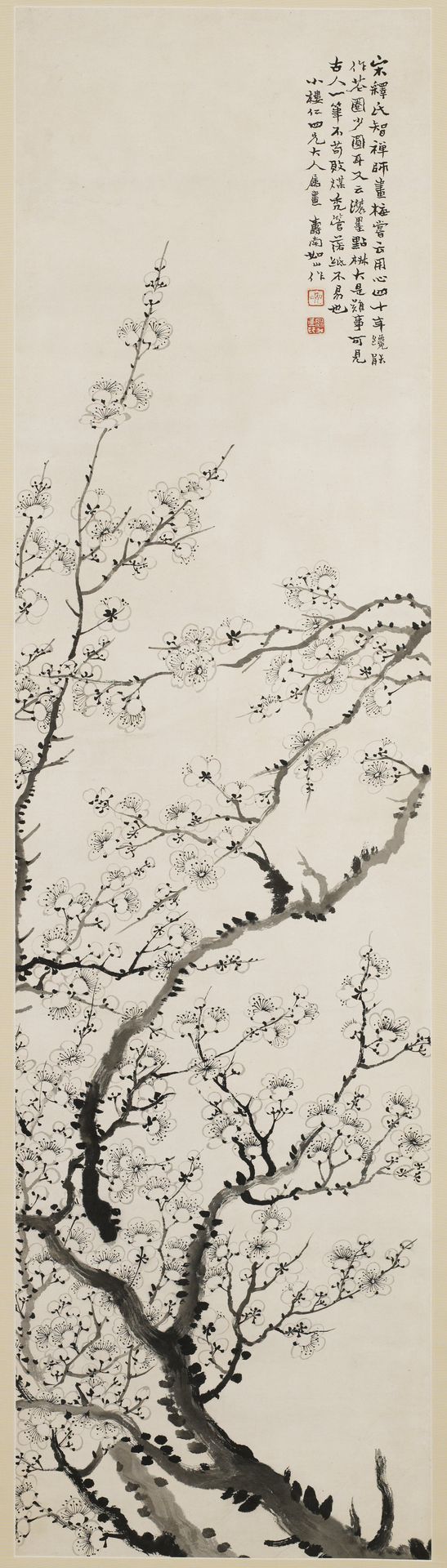 Cherry Blossoms by Rushan