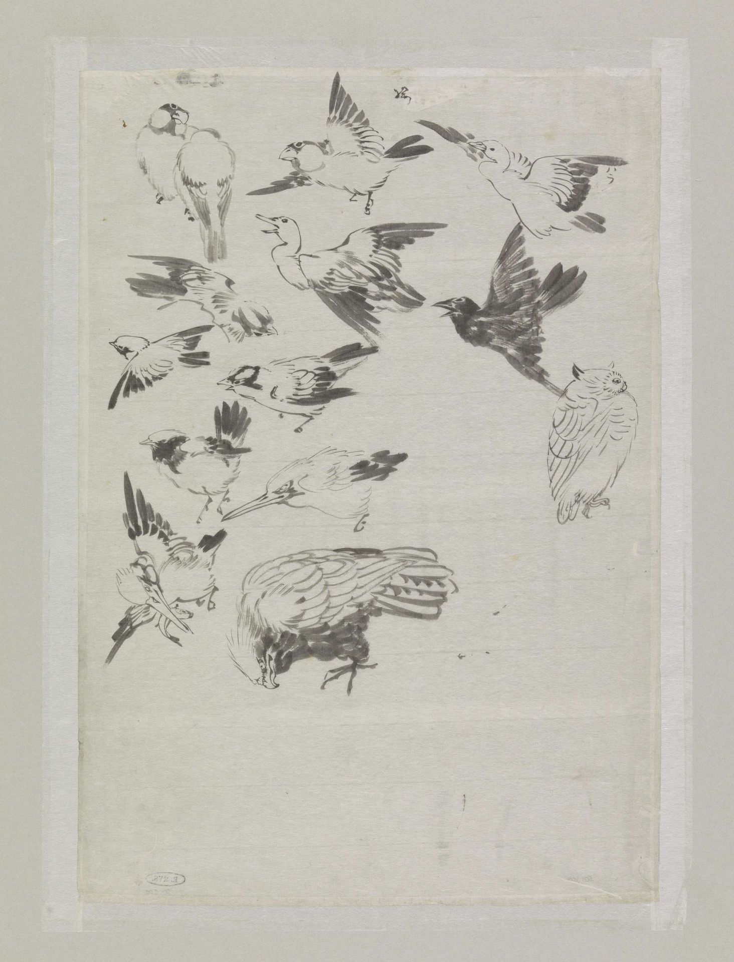 Schetsblad met vogelstudies by Ishikawa Kazan