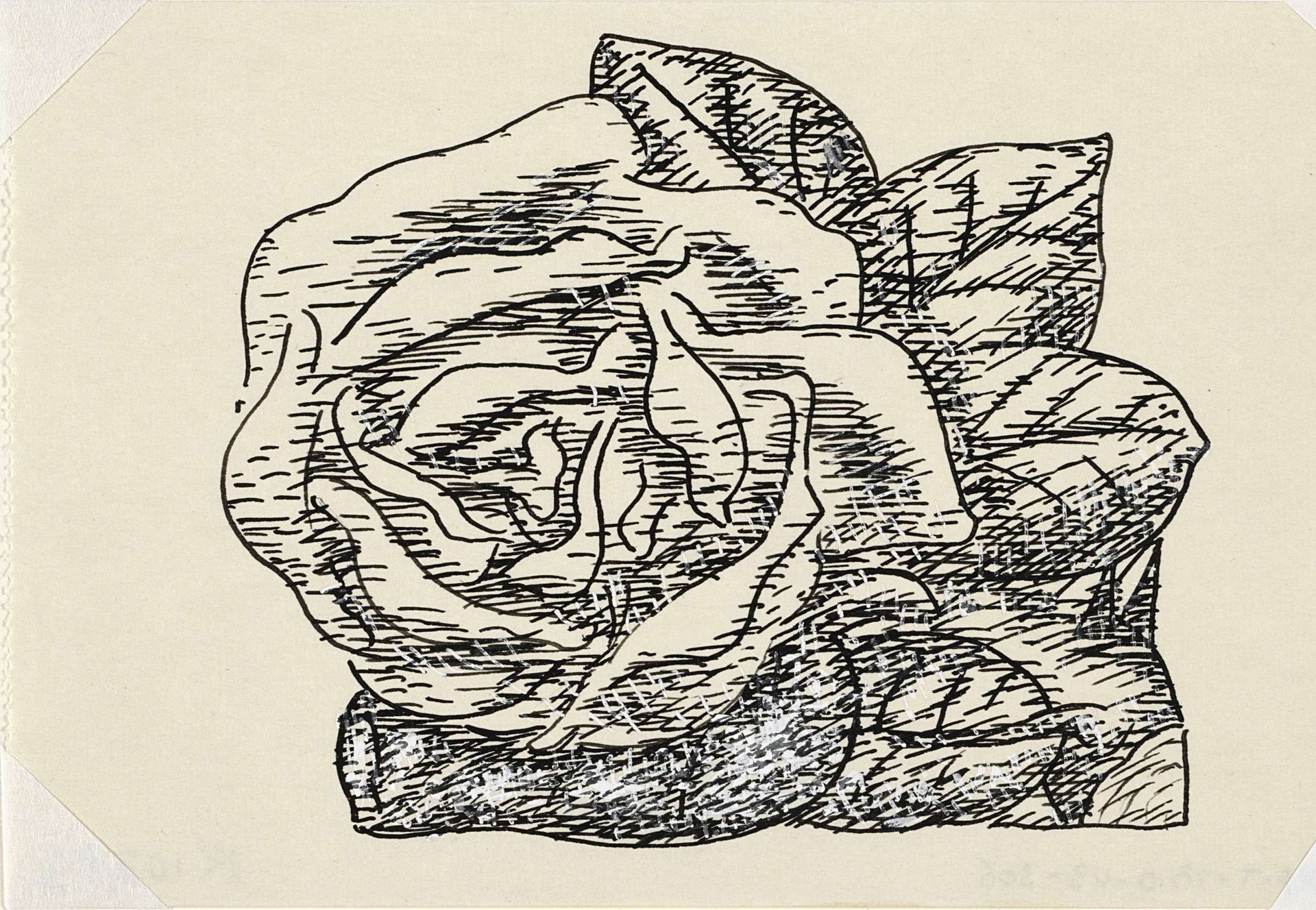 Zonder titel (roos) by Leo Gestel