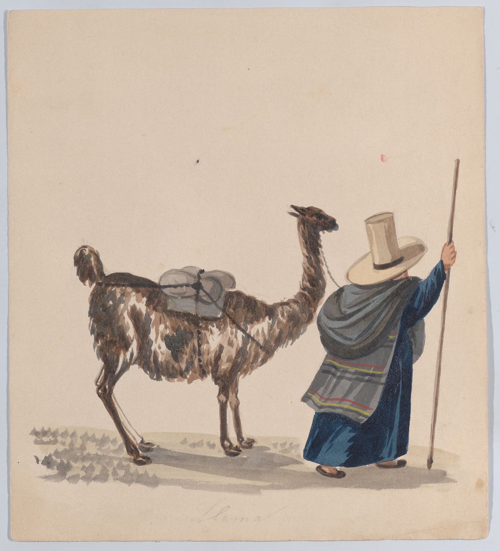 A woman walking with a Llama, from a group of drawings depicting Peruvian dress by Francisco (Pancho) Fierro