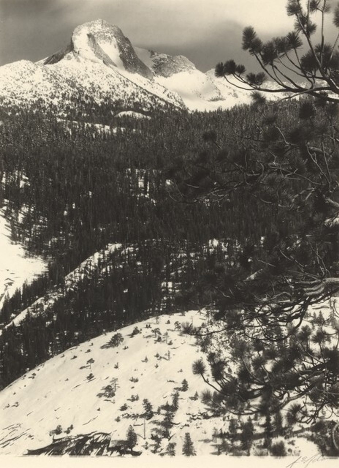 Mount Galen Clark, Yosemite Park by Ansel Adams