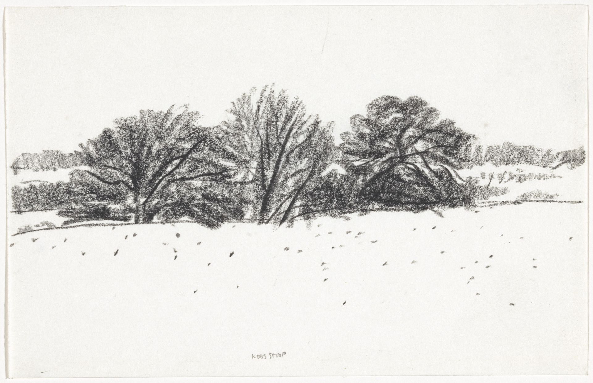 Loofbomen langs weiland by Kees Stoop
