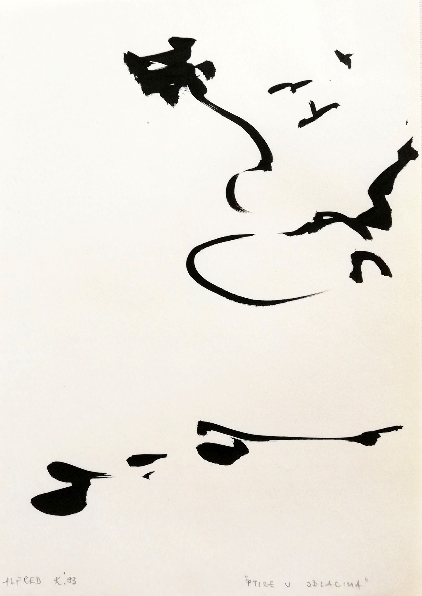 Birds in the clouds by Alfred Freddy Krupa