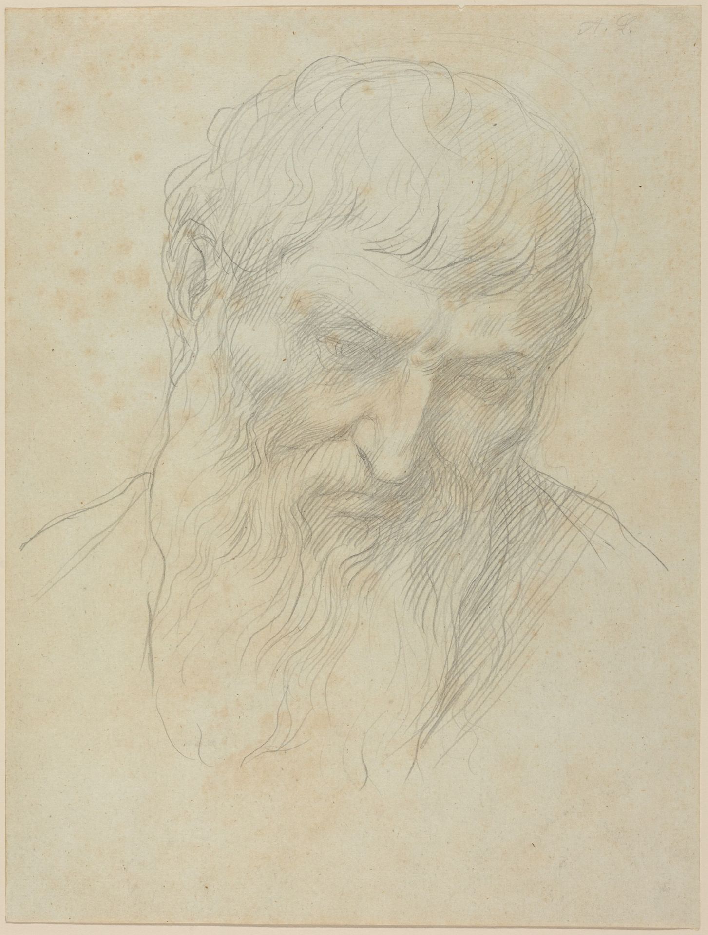 Head of a Man with Curly Hair and Beard by Alphonse Legros