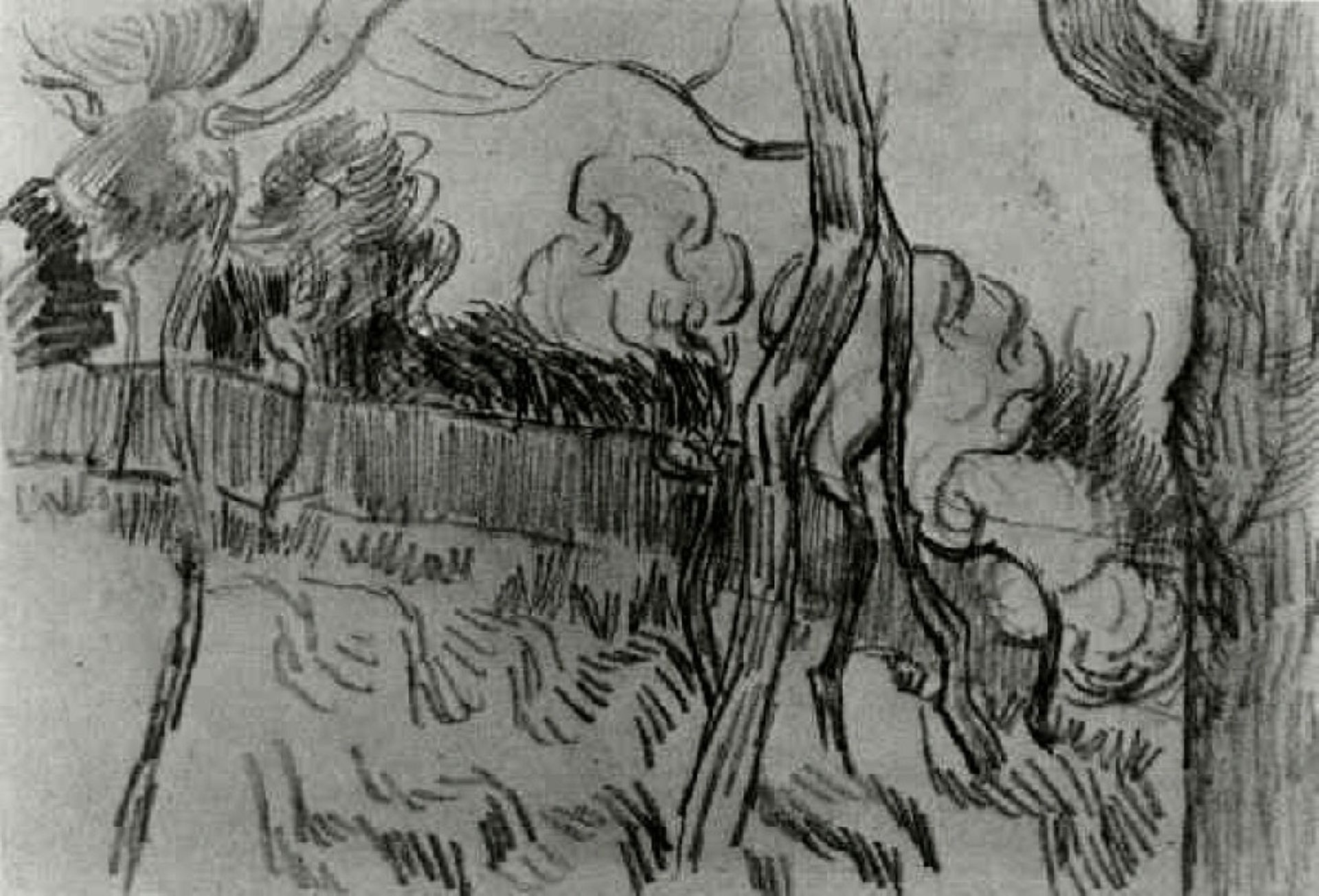 Pine Trees Seen against the Wall of the Asylum by Vincent van Gogh