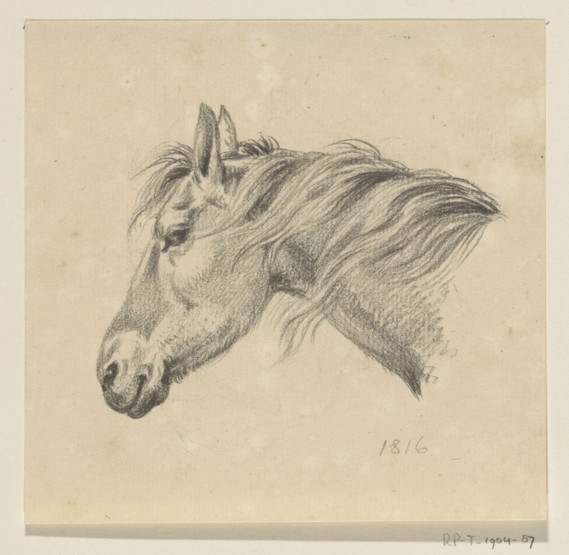 Hoofd van een paard, naar links by Jean Bernard
