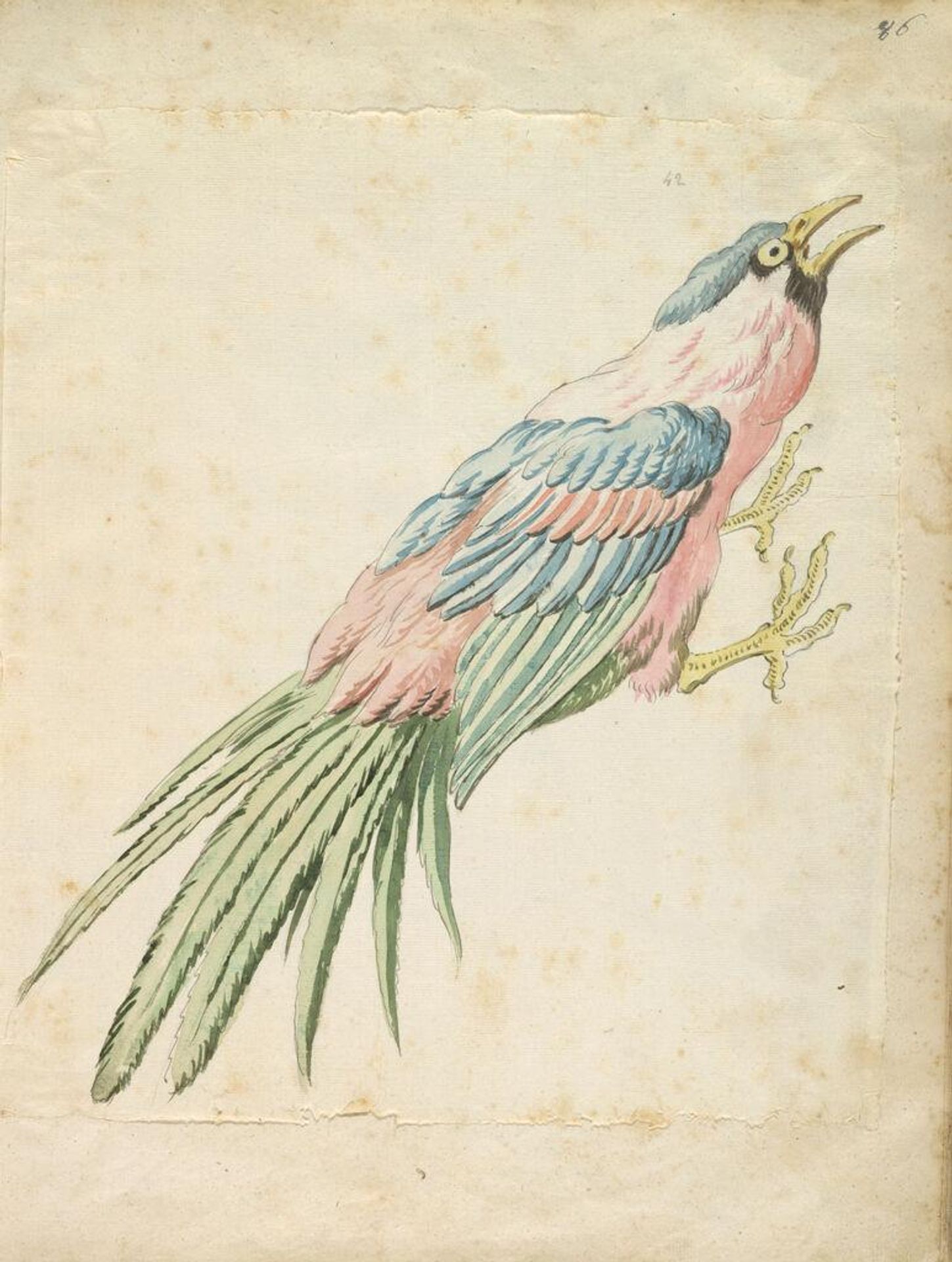 Squawking Bird with Talons Extended to the Right; verso: blank by Jean-Baptiste Oudry