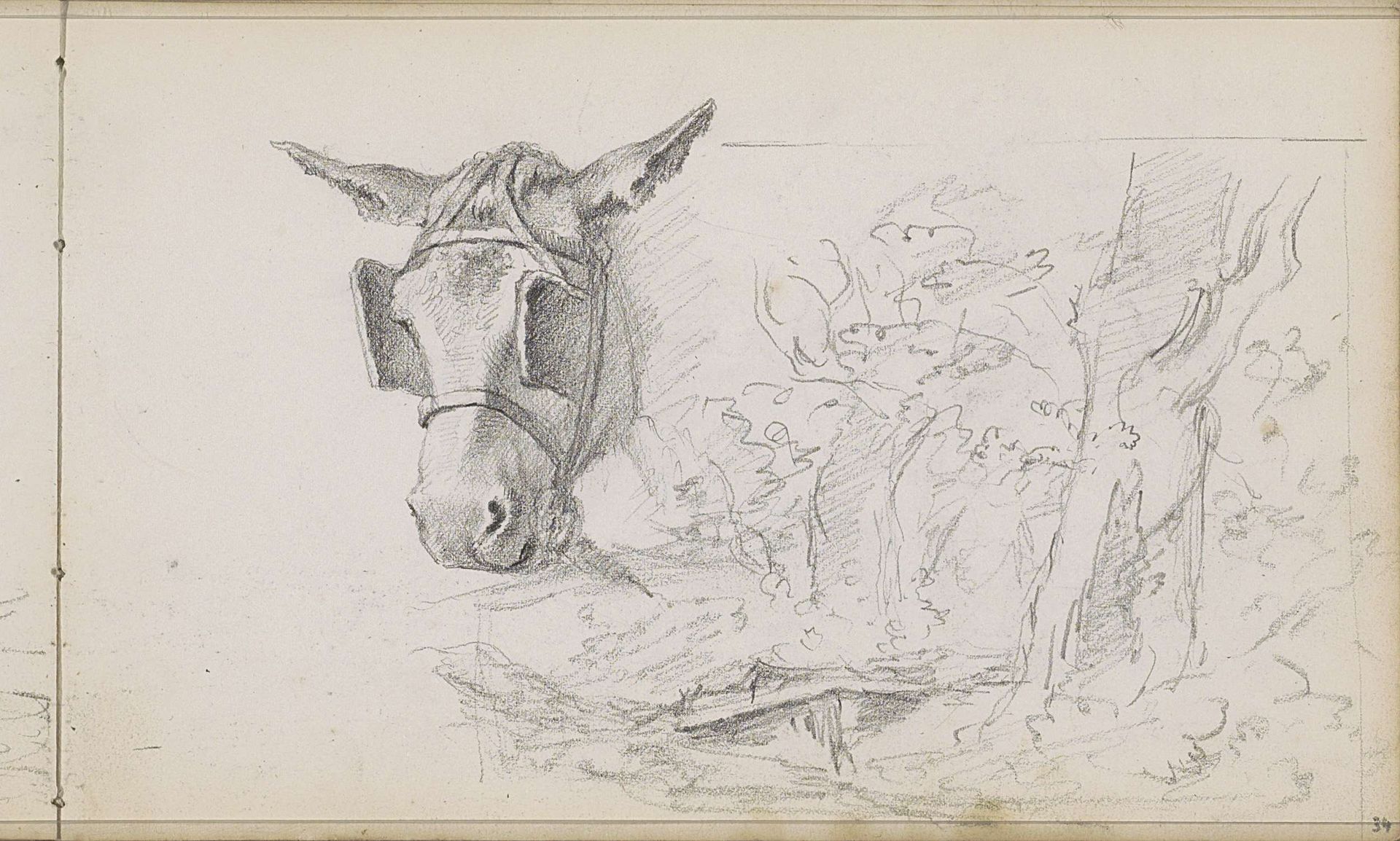 Kop van een ezel en een landschap by Willem Cornelis Rip