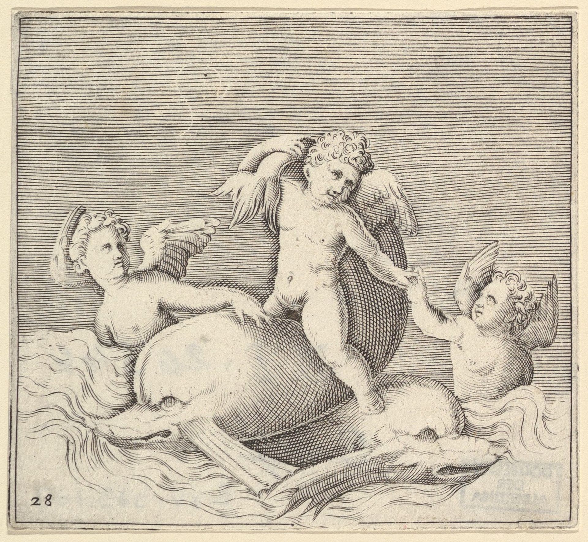 Three Cupids and Two Dolphins, from "Ex Antiquis Cameorum et Gemmae Delineata/ Liber Secundus/et ab Enea Vico Parmen Incis" by Anonymous