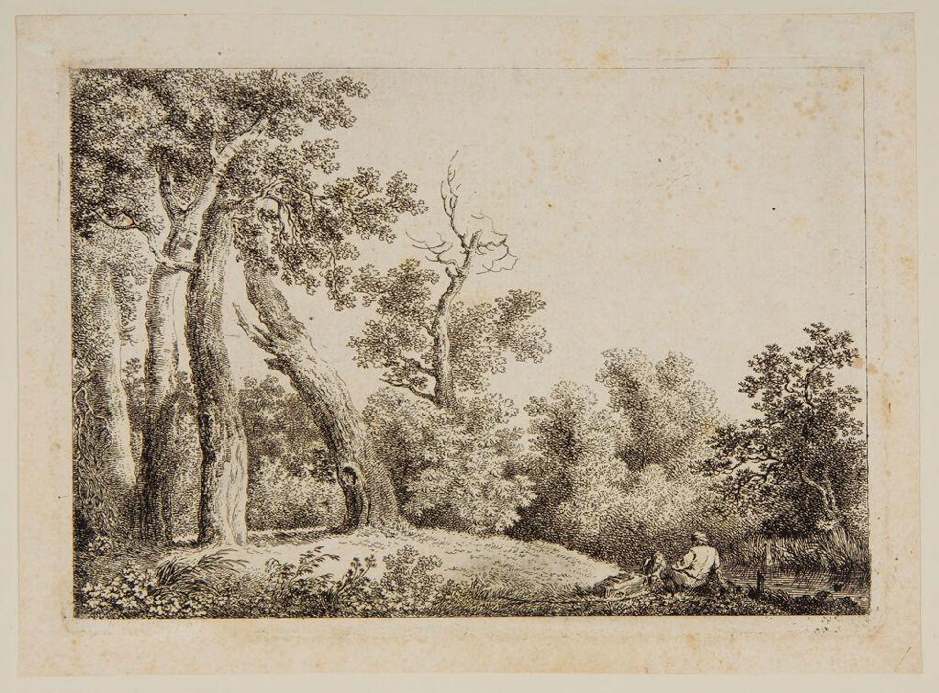 Four Trees on Bank of a Canal by Martin von Molitor