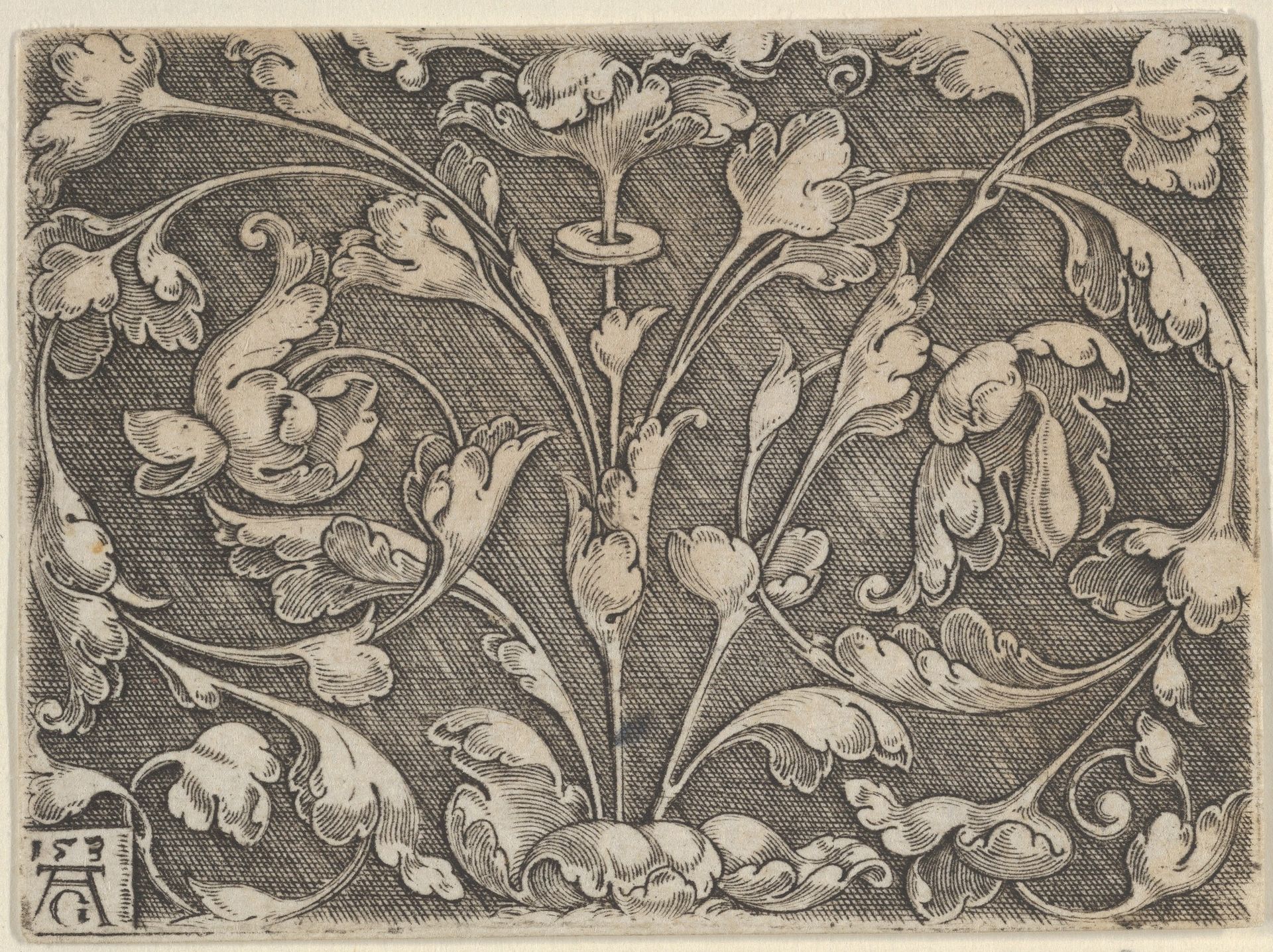 Horizontal Panel with Scrolling Tendrils Growing from Center by Heinrich Aldegrever