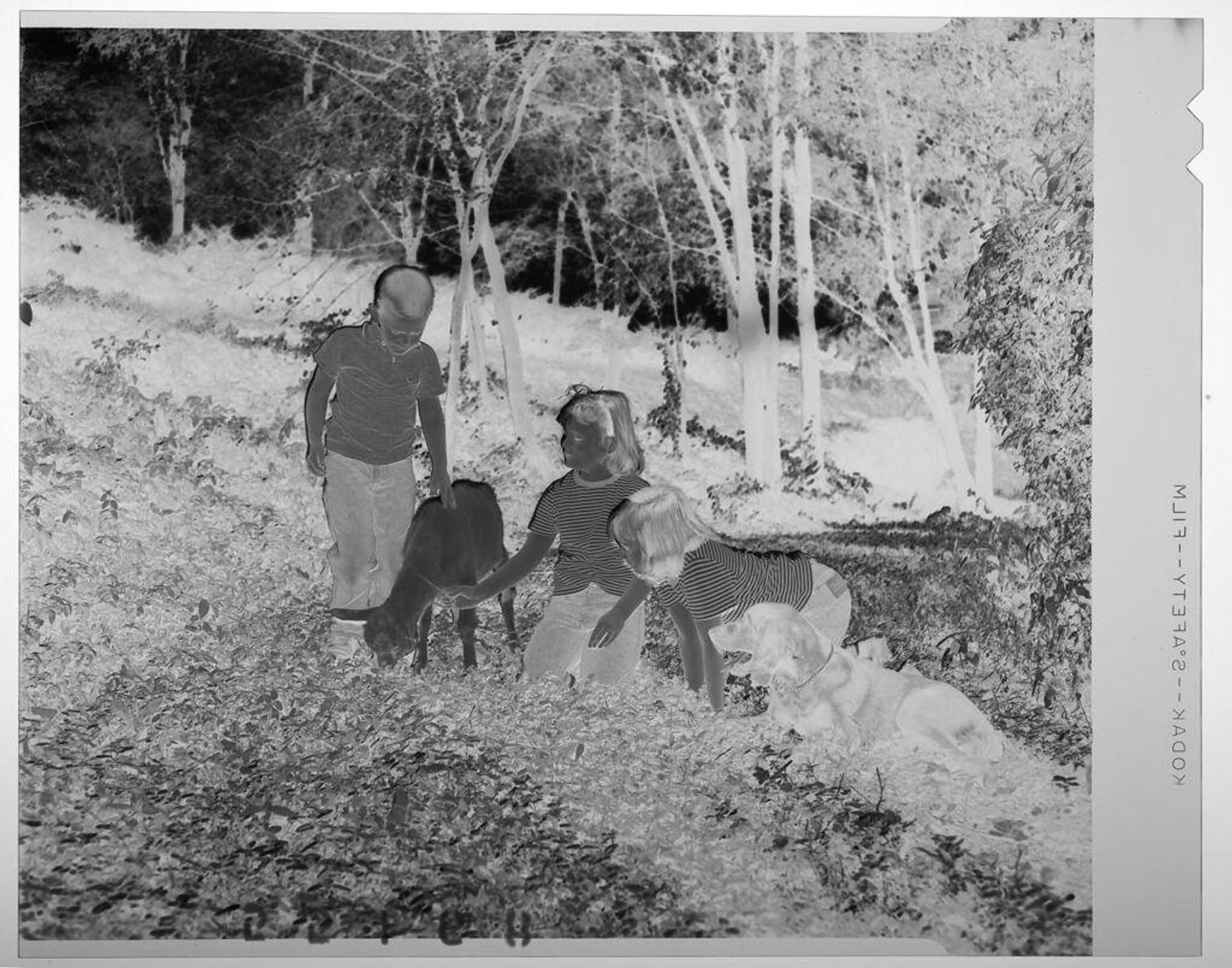 Untitled (three children in striped shirts posed with dog and goat outdoors) by Martin Schweig