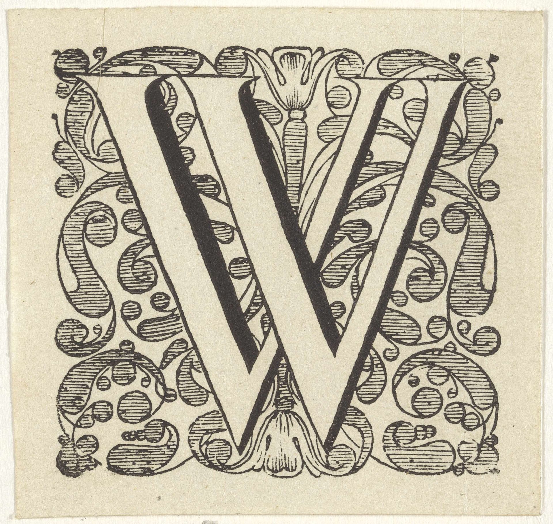 Letter W in een omlijsting met bloemen by Anonymous