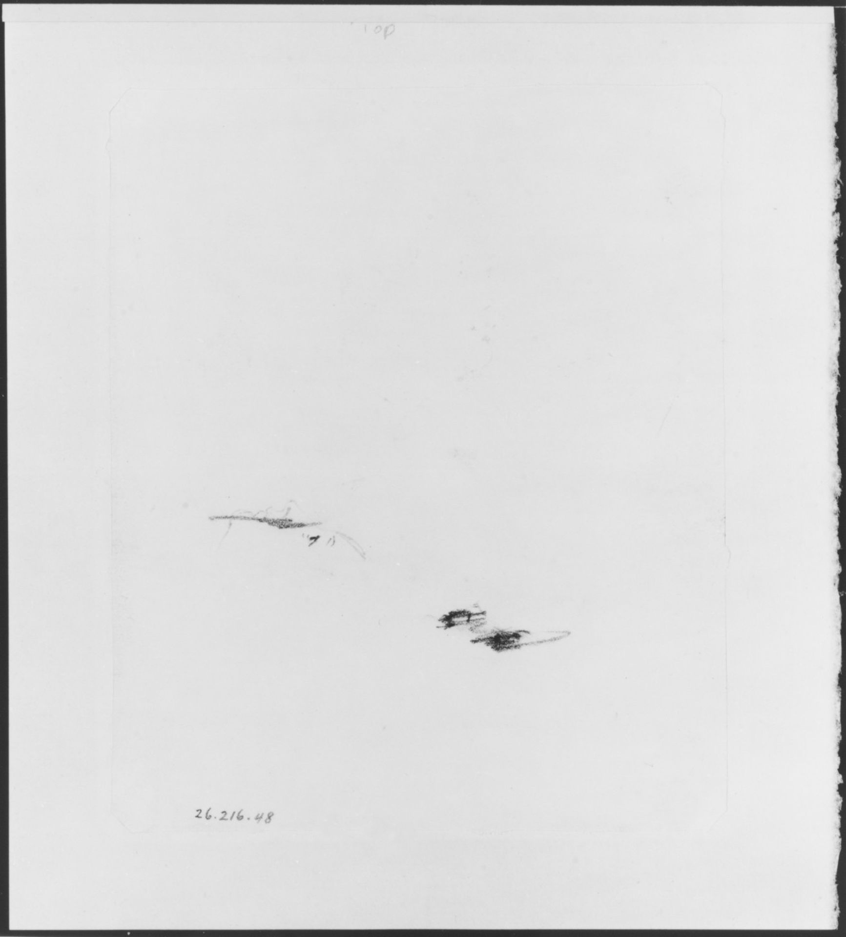 Profile (from McGuire Scrapbook) by Shepard Alonzo Mount