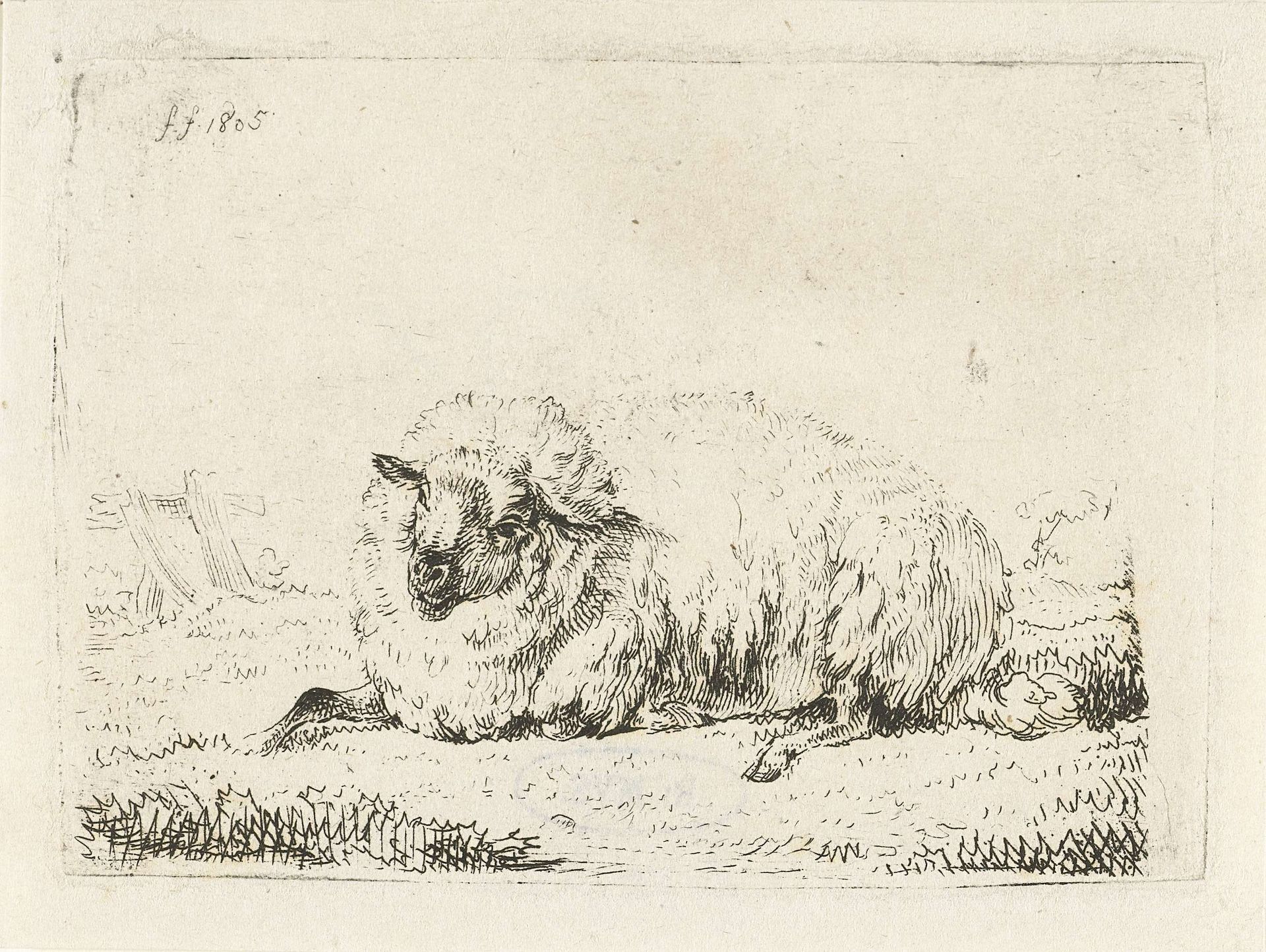 Liggend schaap met dikke vacht by Frédéric Théodore Faber