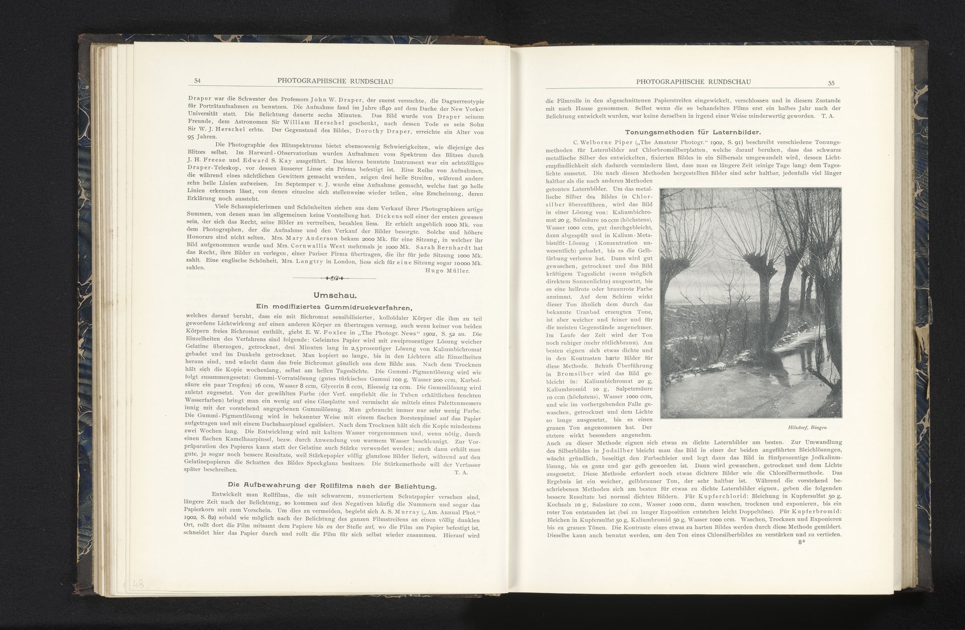 Gezicht op een aantal bomen langs een pad by Jacob Hilsdorf