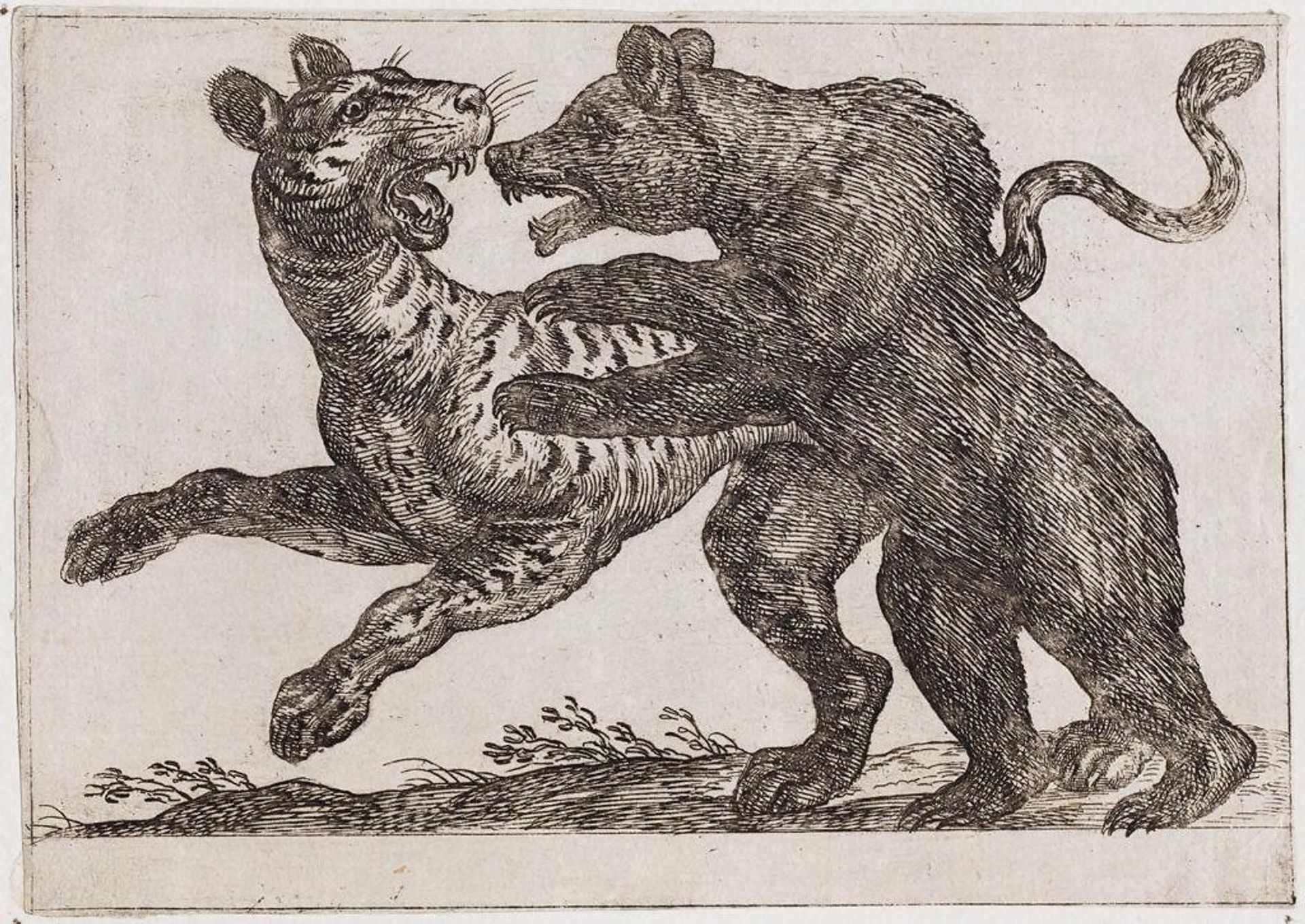 A Bear Fighting a Tiger by Antonio Tempesta