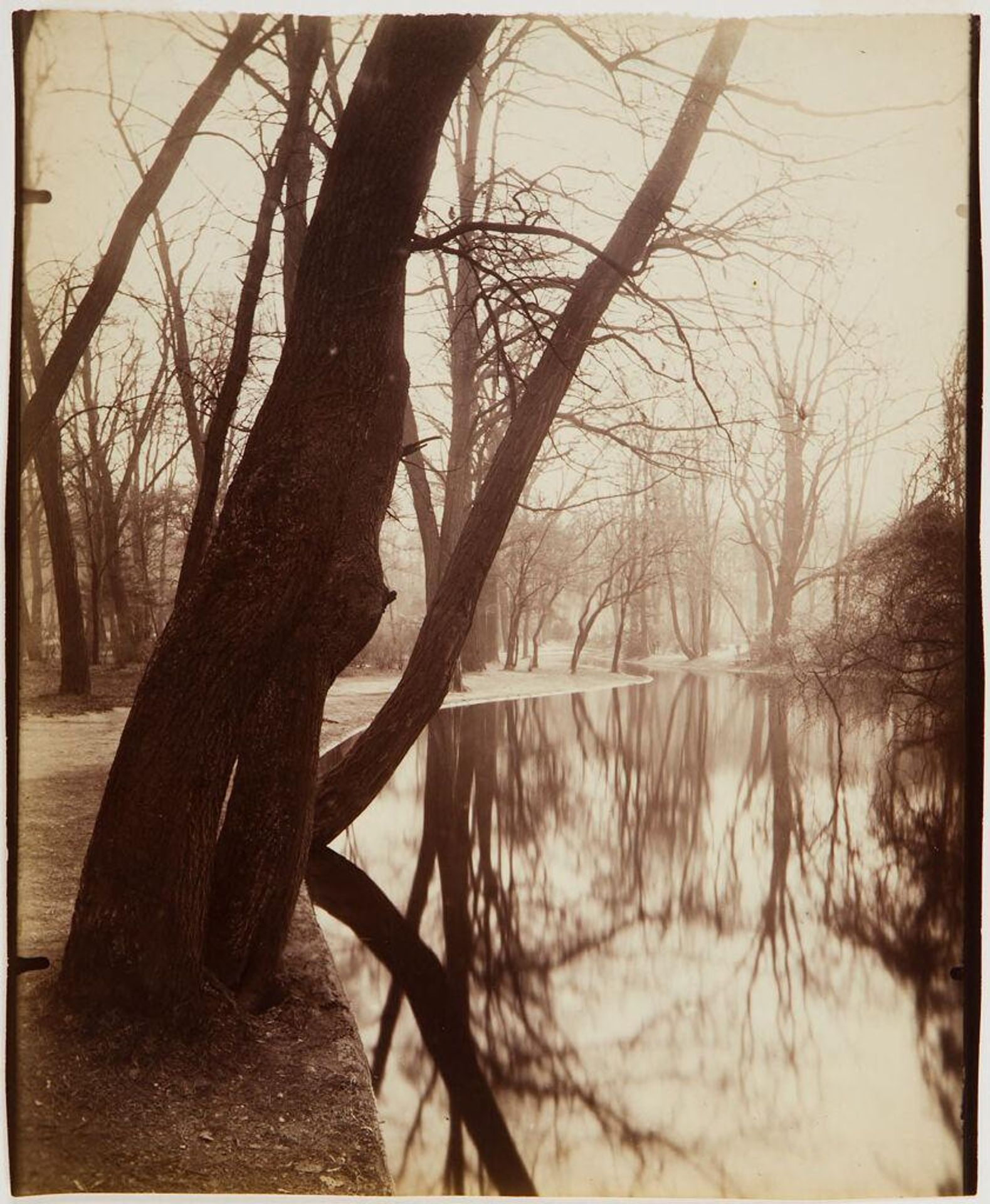 Bois de Boulogne by Eugène Atget