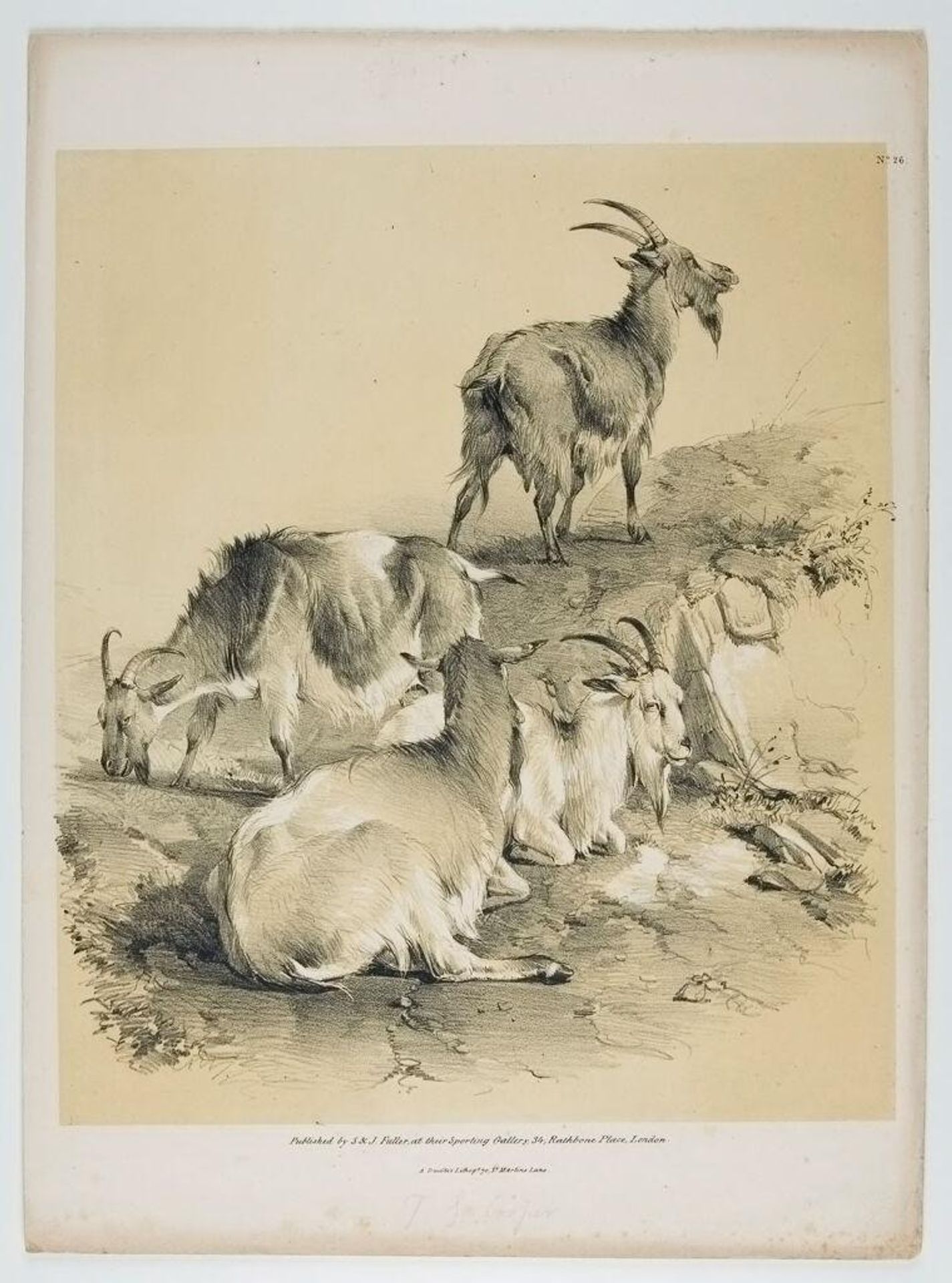 Goats by Thomas Sidney Cooper