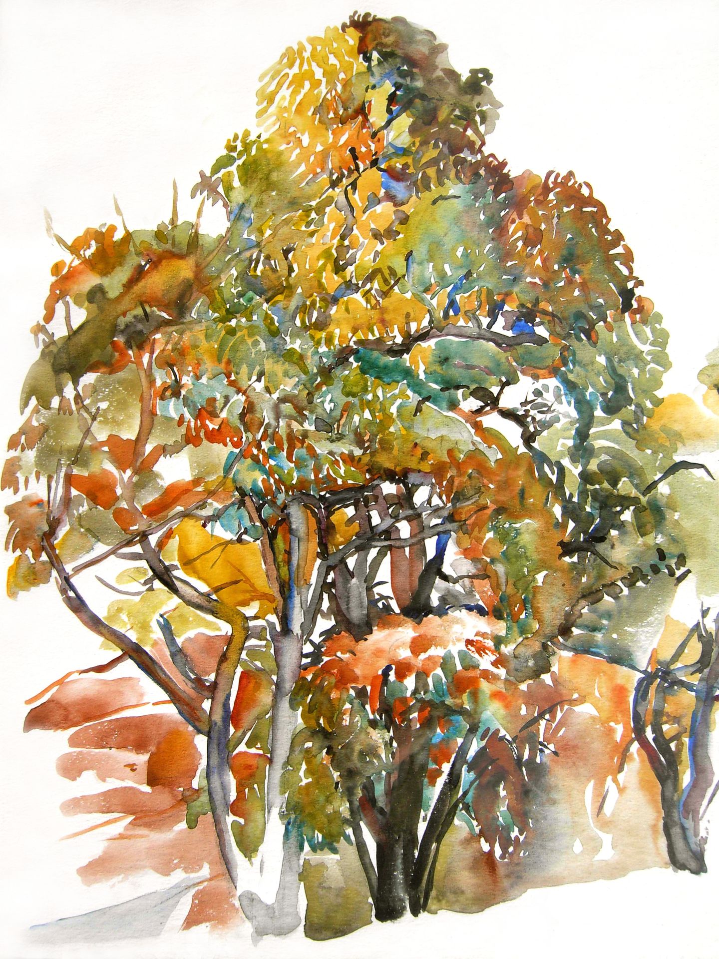 Chestnut trees in the autumn in Antagnes, Switzerland by Hubertine Heijermans