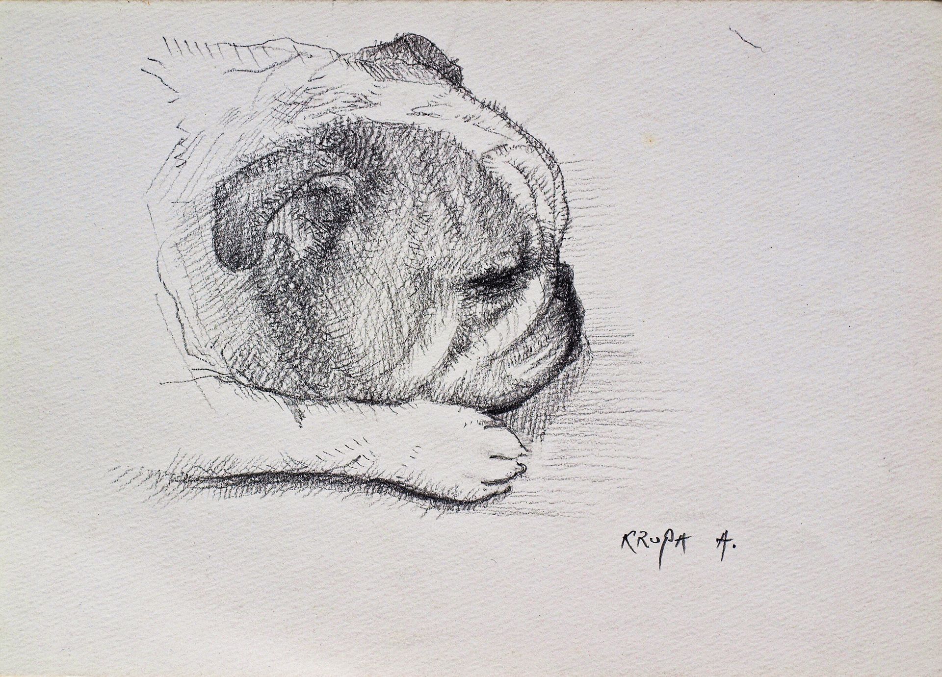 Spike by Alfred Freddy Krupa