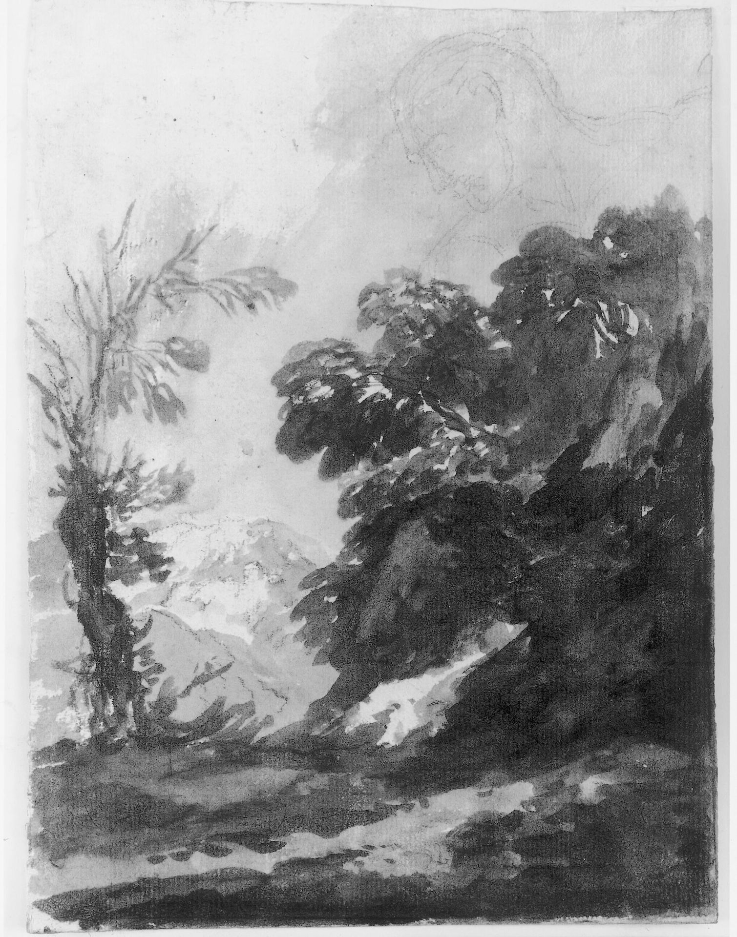 Rocky landscape with trees drawn on top of a fragmented male nude bending to the right by Lieven Mehus
