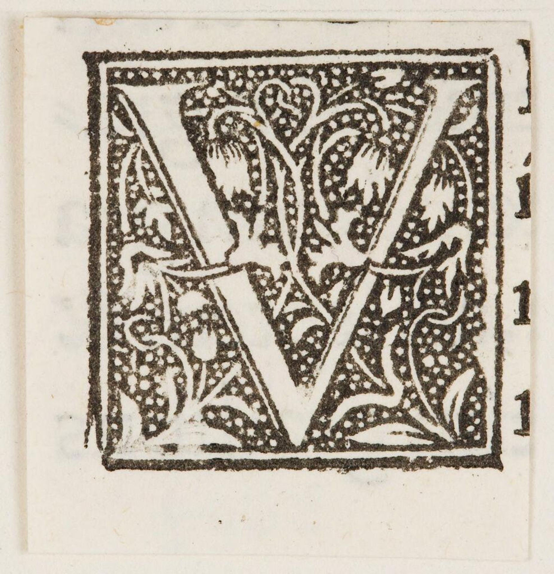 Capital V by Anonymous