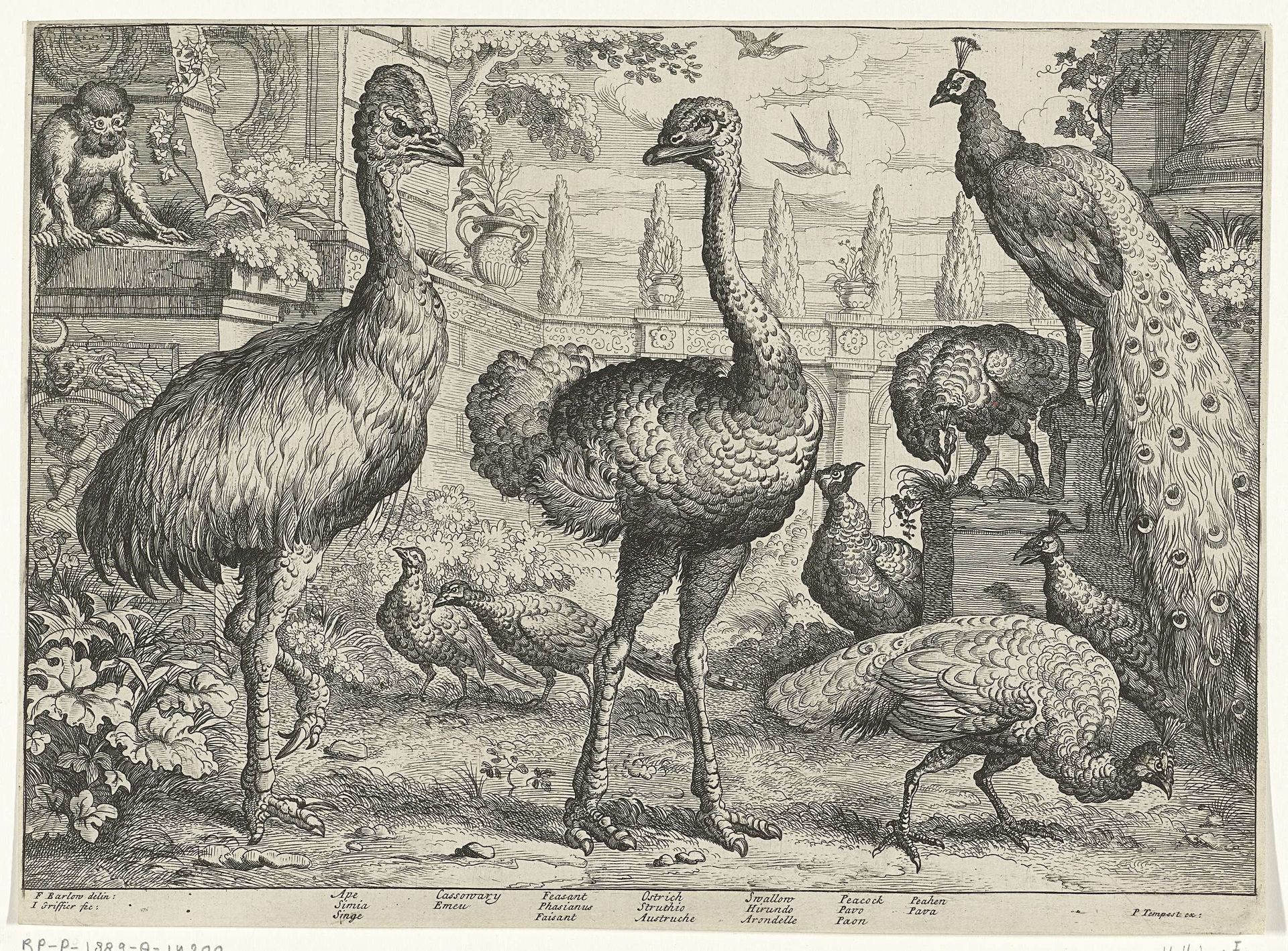 Verschillende vogels en een aap by Jan (I) Griffier