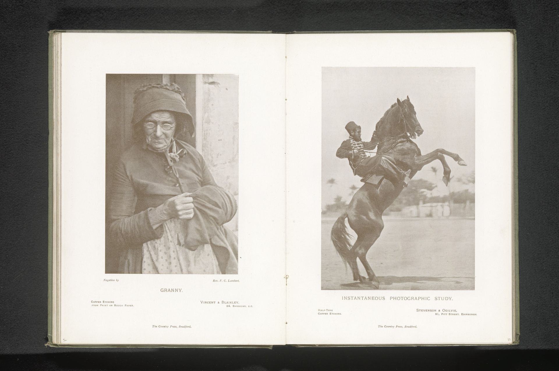 Steigerend paard met ruiter by Stevenson & Ogilvie