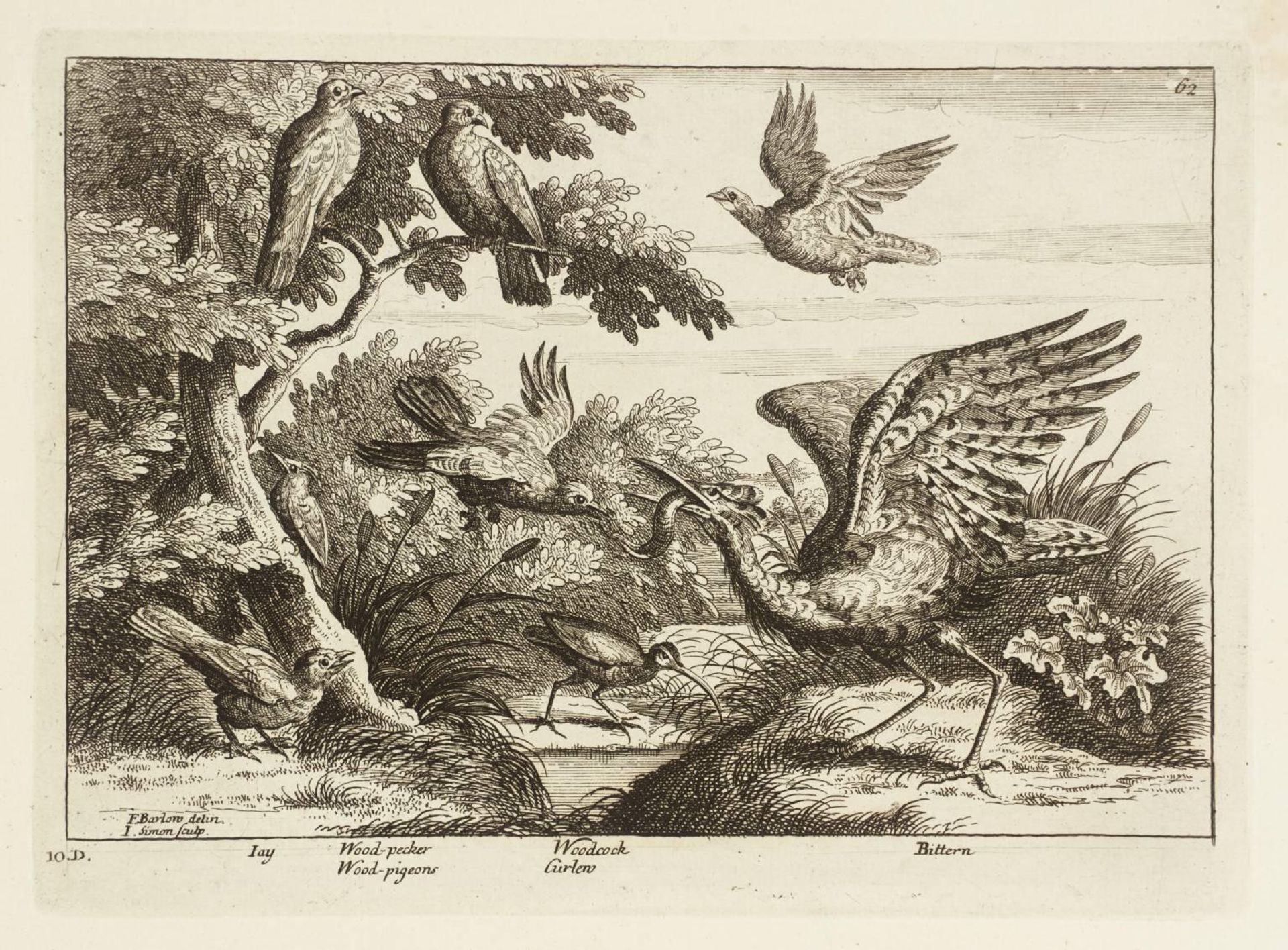 Jay; Wood-Pecker; Woodcock; Bittern by Francis Barlow