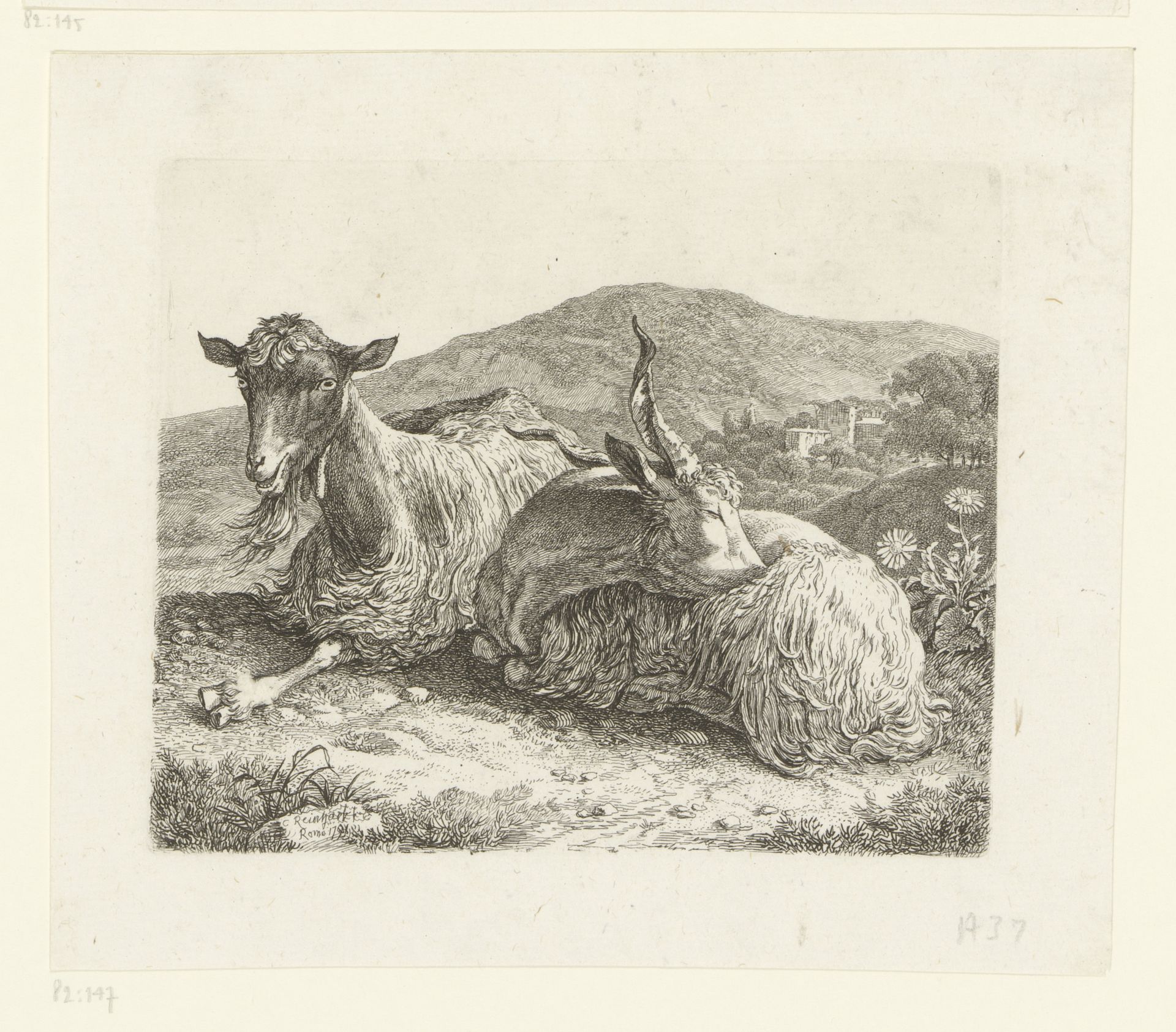 Liggende geit en bok by Johann Christian Reinhart