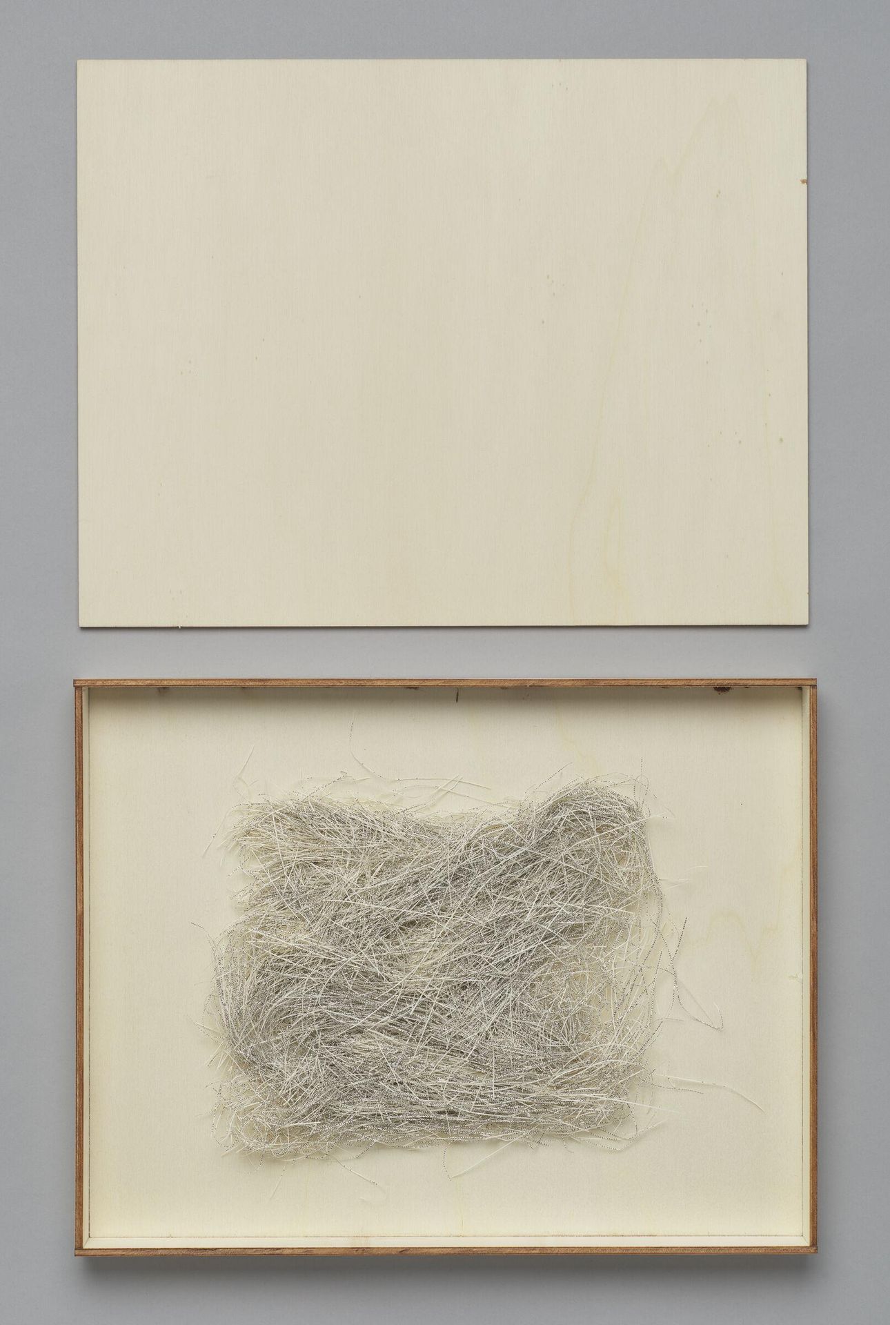 Walser Microscripts from "Materials Lab" by Fernanda Fragateiro